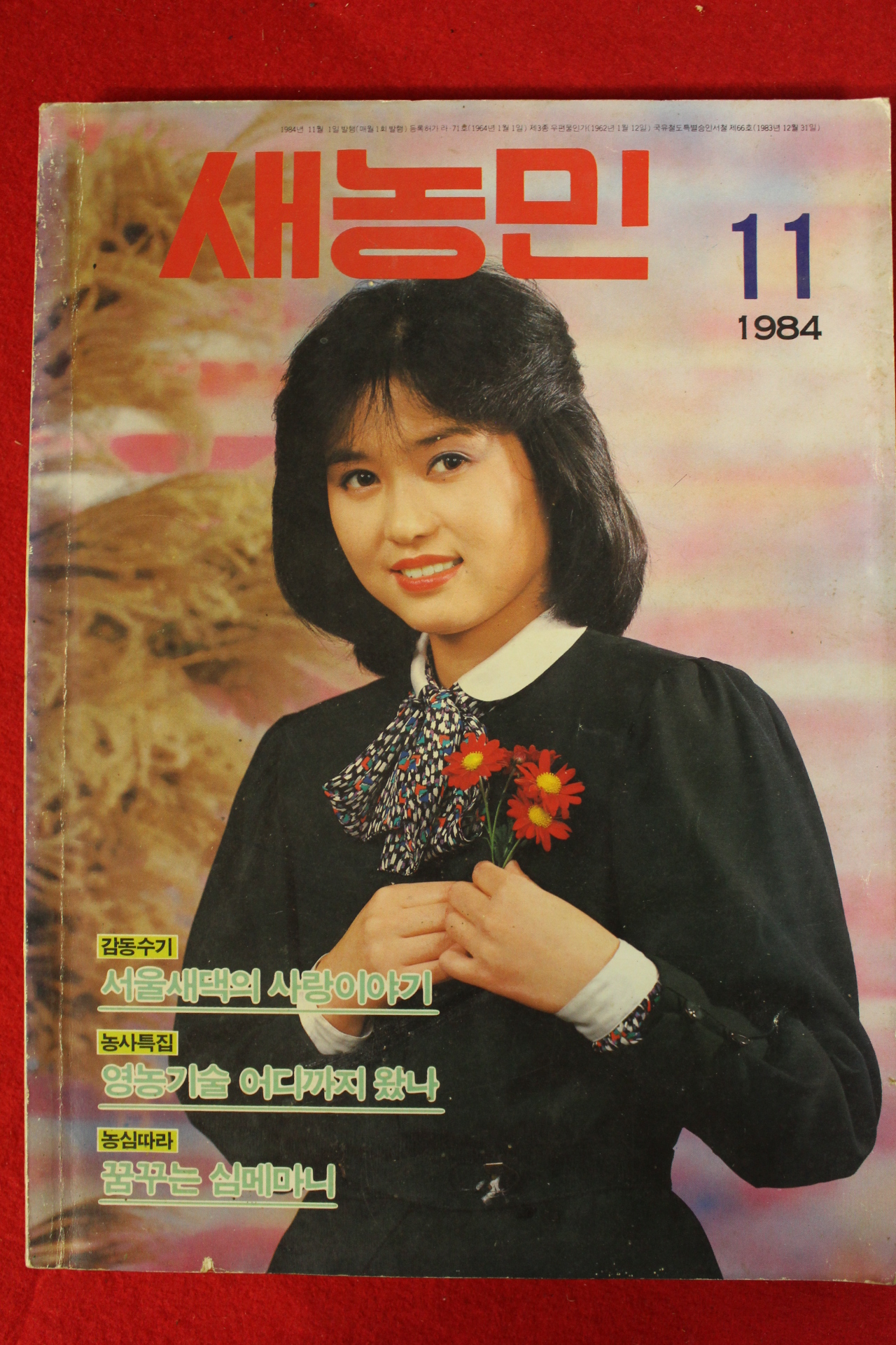 1984년 새농민 11월호