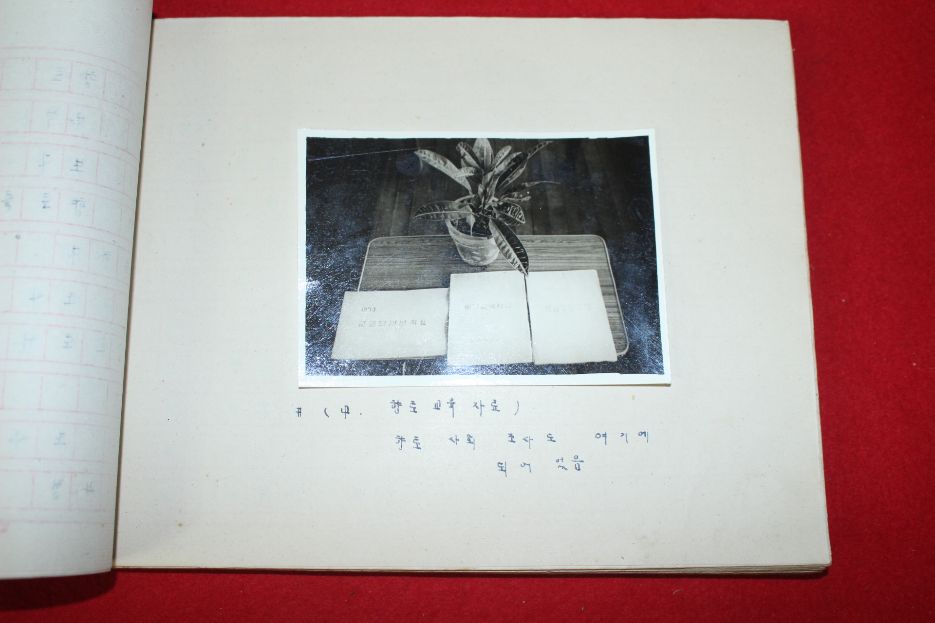 1973년 위천국민학교 향토화를 위한 교육과정운영