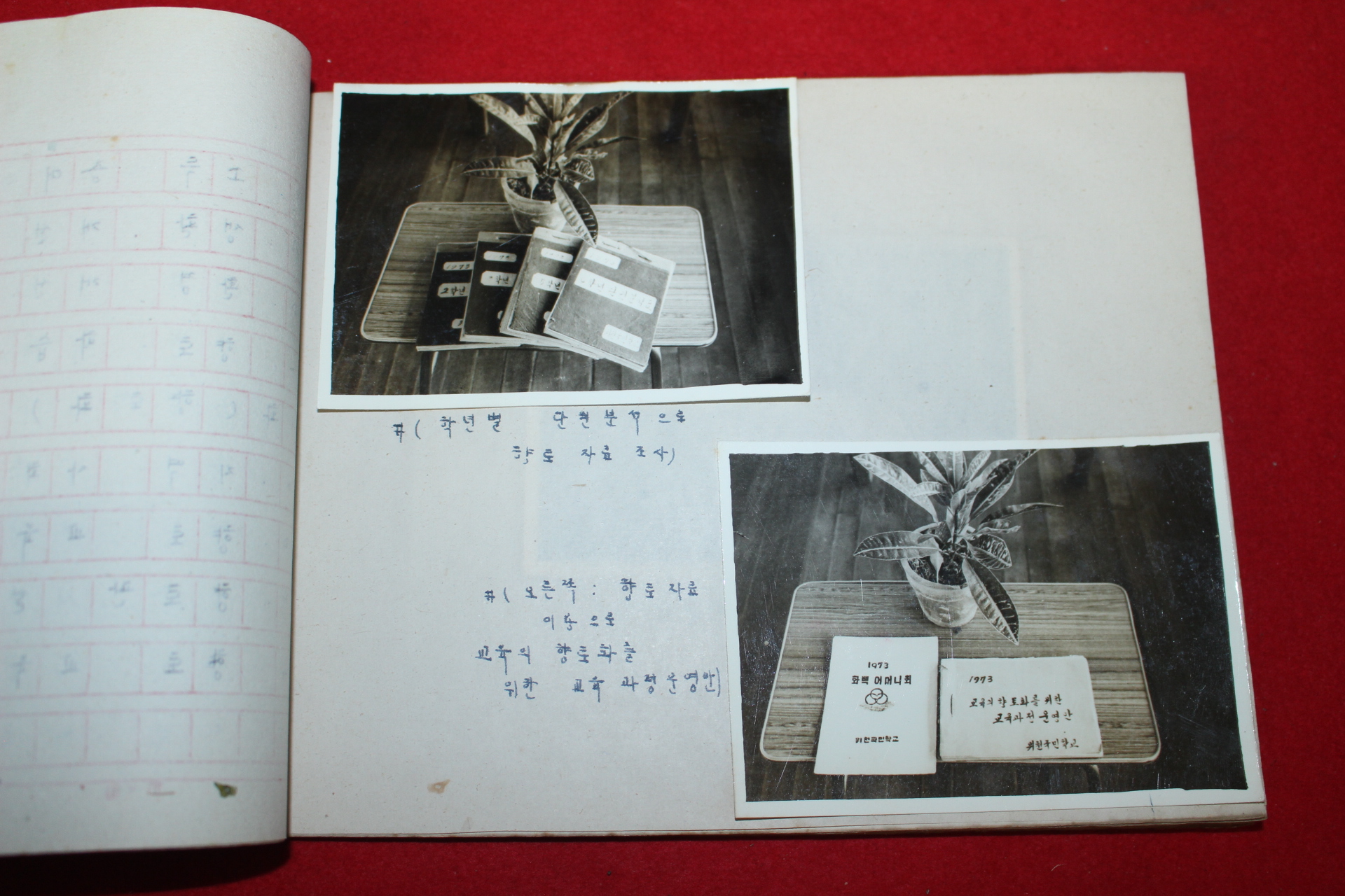 1973년 위천국민학교 향토화를 위한 교육과정운영