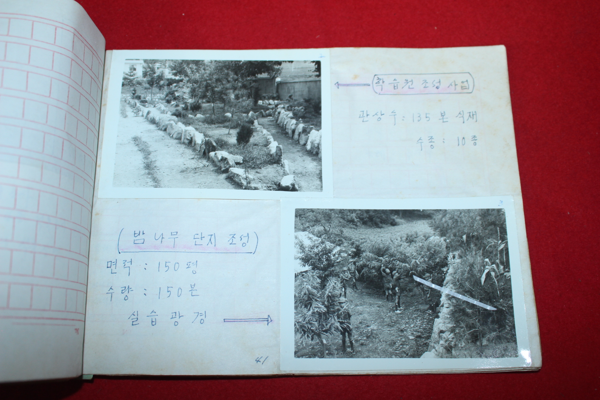 1977년 용암국민학교 우리학교의 새마을교육 실적사례