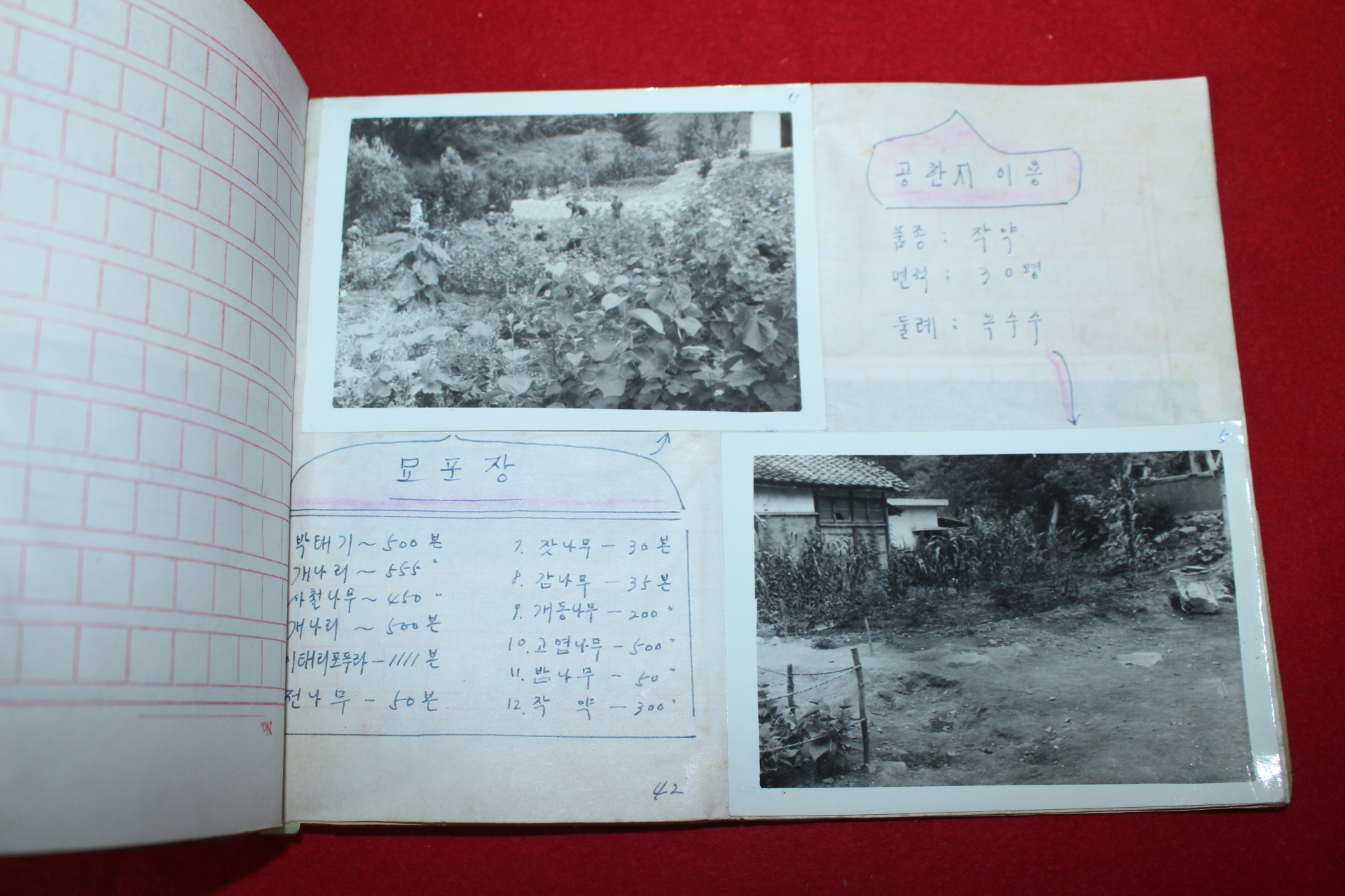 1977년 용암국민학교 우리학교의 새마을교육 실적사례