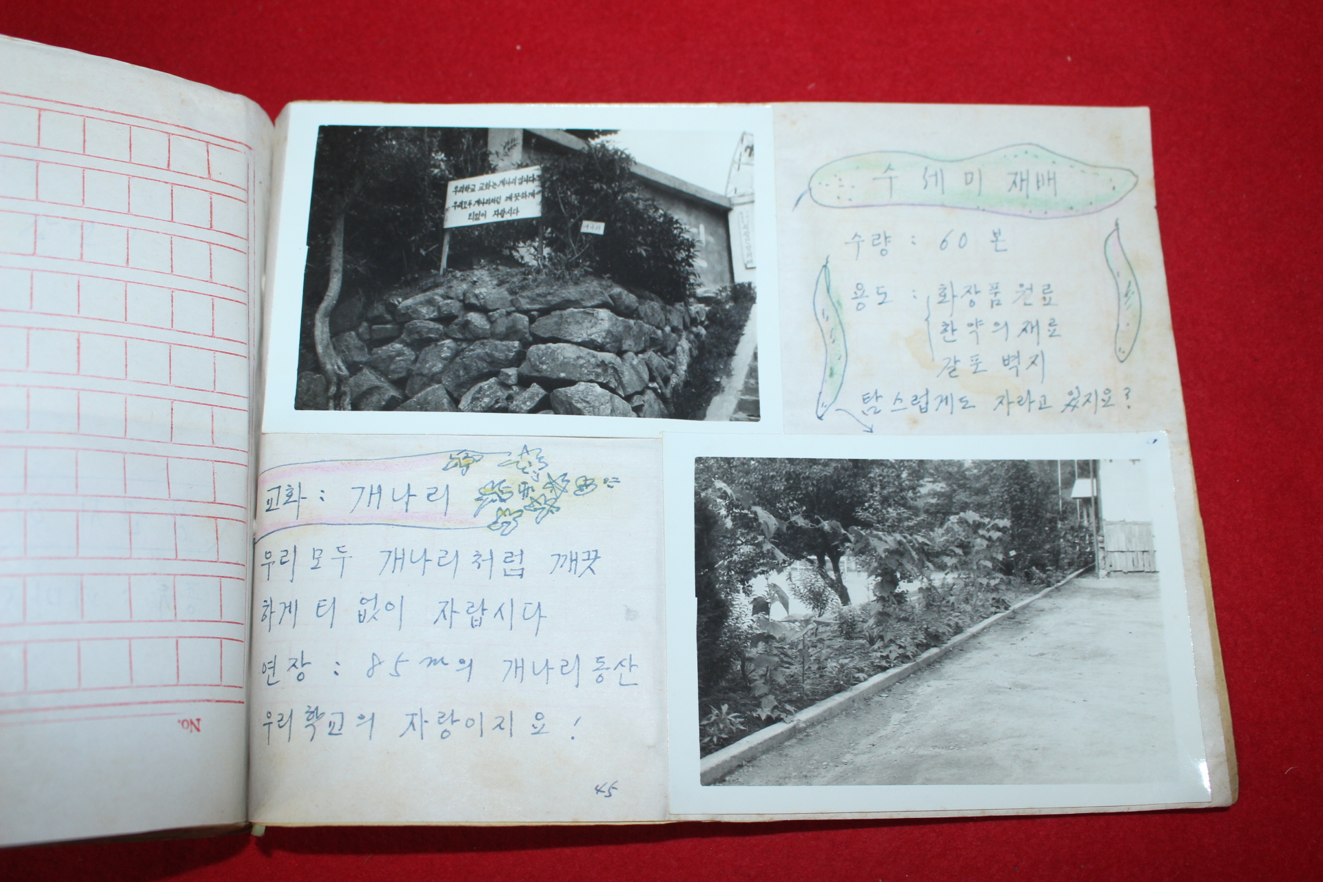 1977년 용암국민학교 우리학교의 새마을교육 실적사례