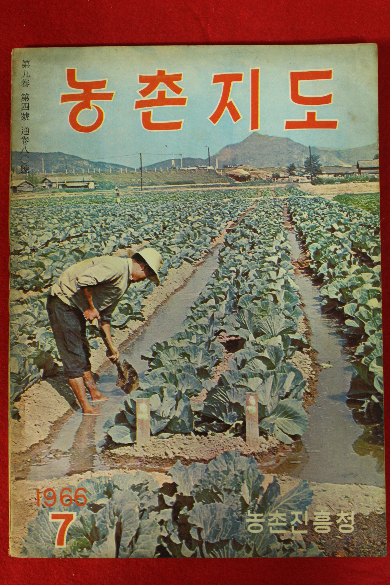 1966년 농촌지도 7월호