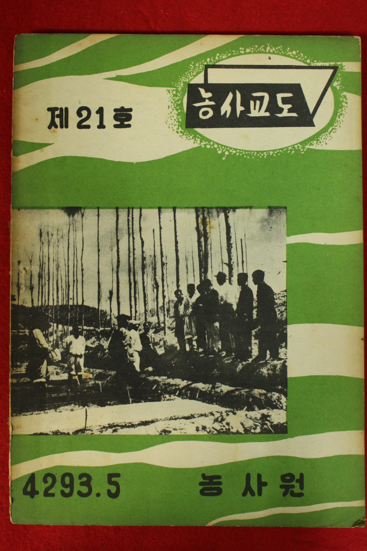 1960년 농사교도 5월호