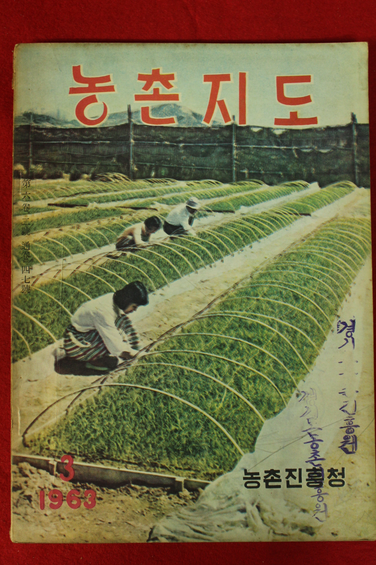 1963년 농촌지도 3월호