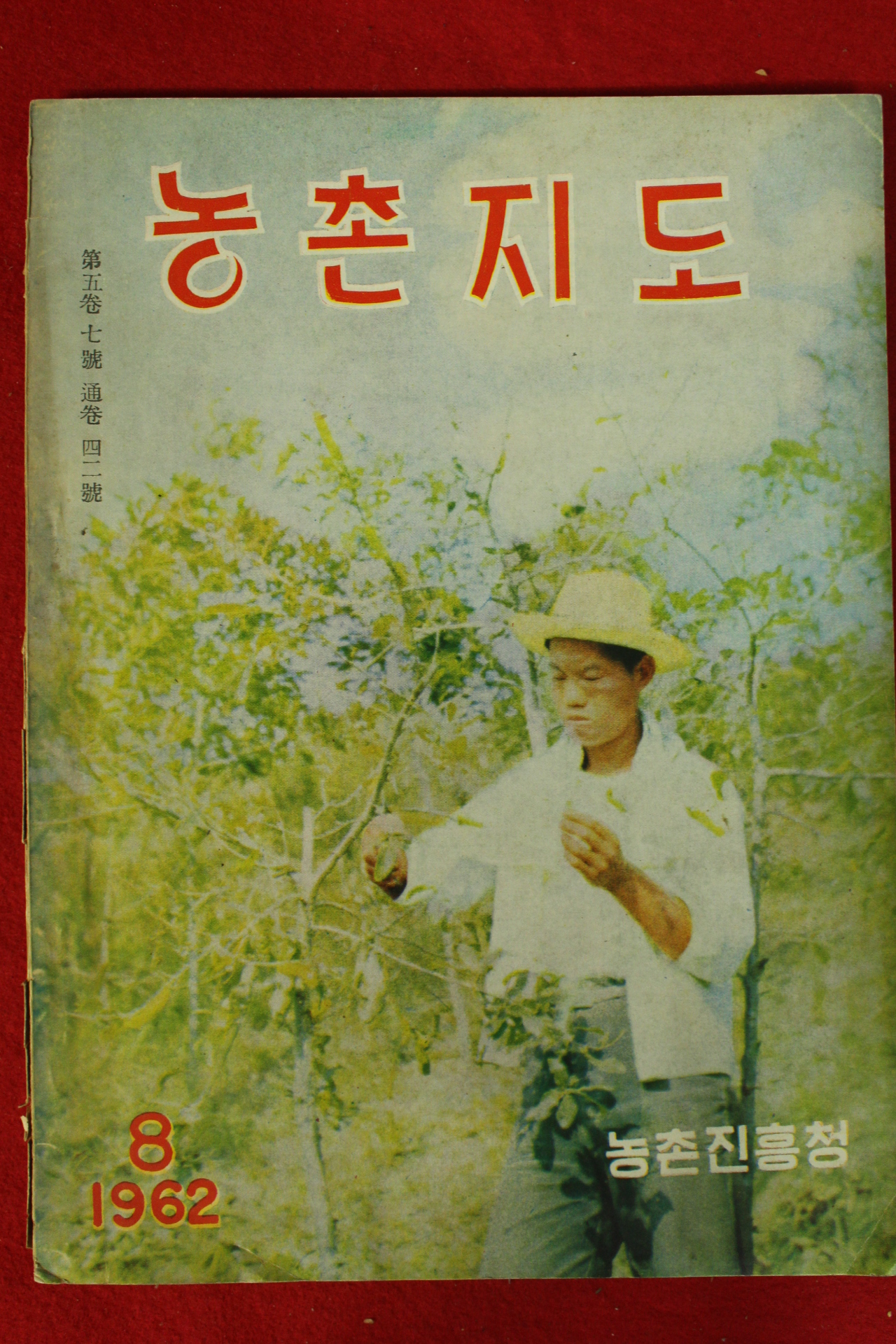 1962년 농촌지도 8월호