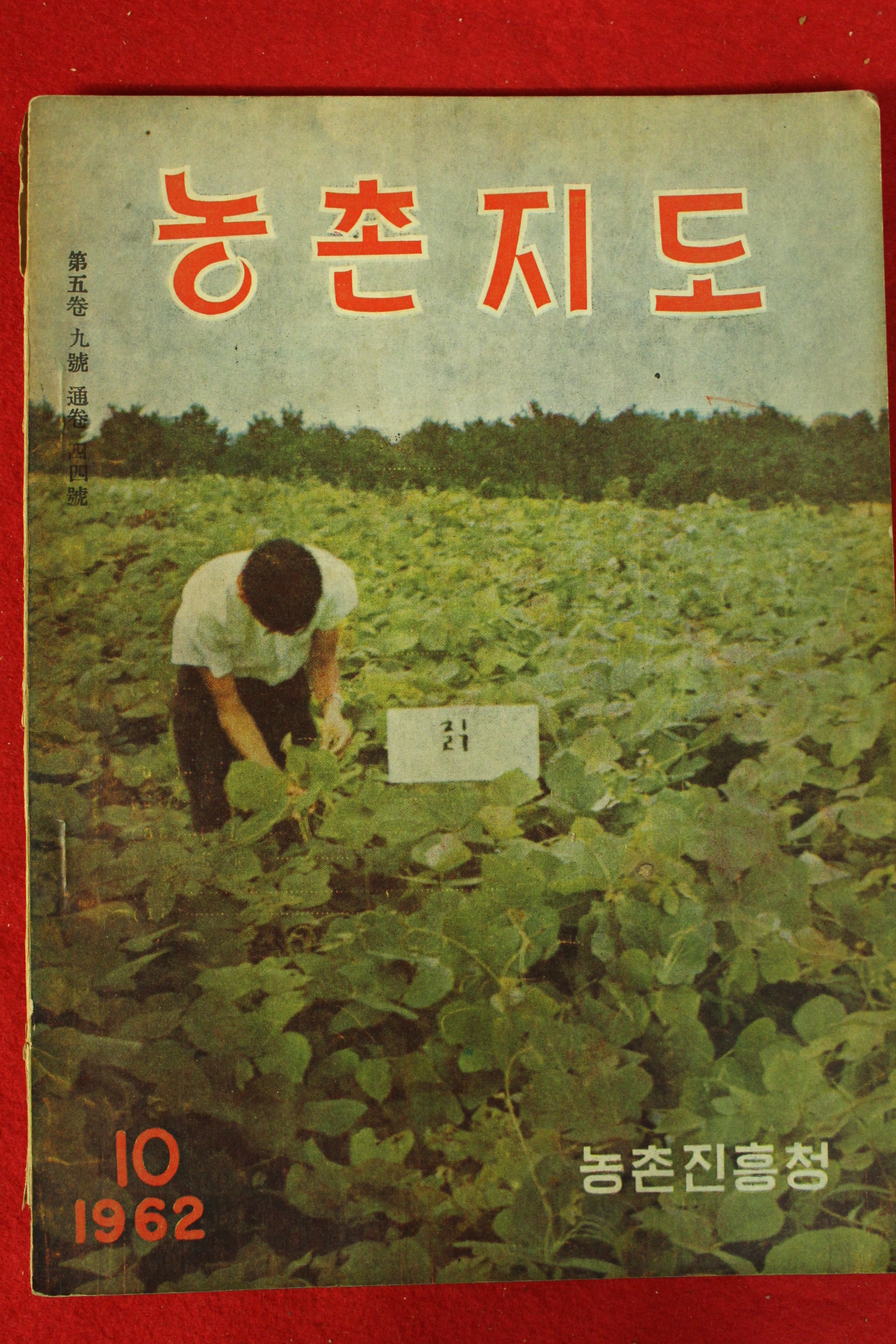 1962년 농촌지도 10월호