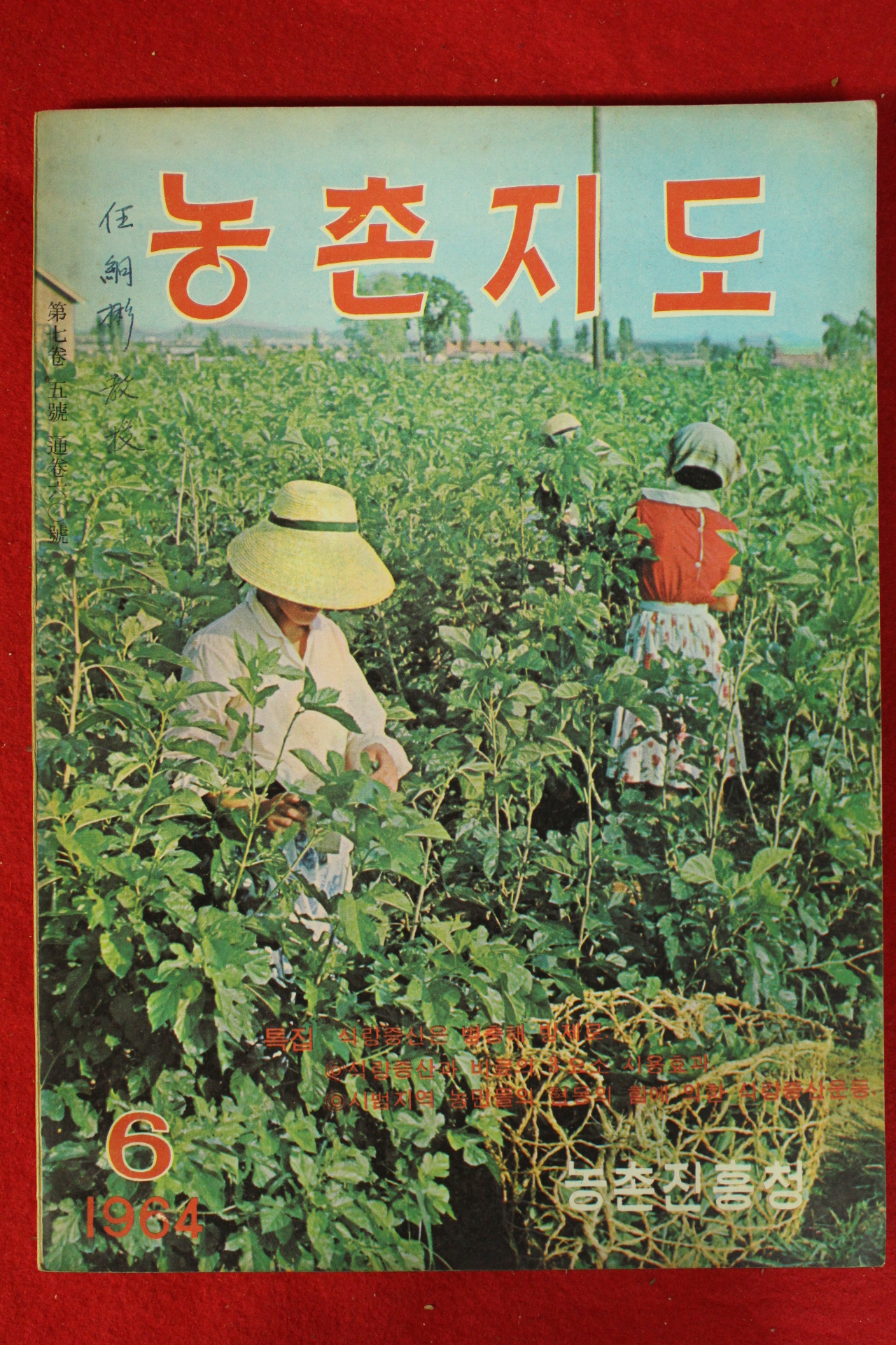 1964년 농촌지도 6월호