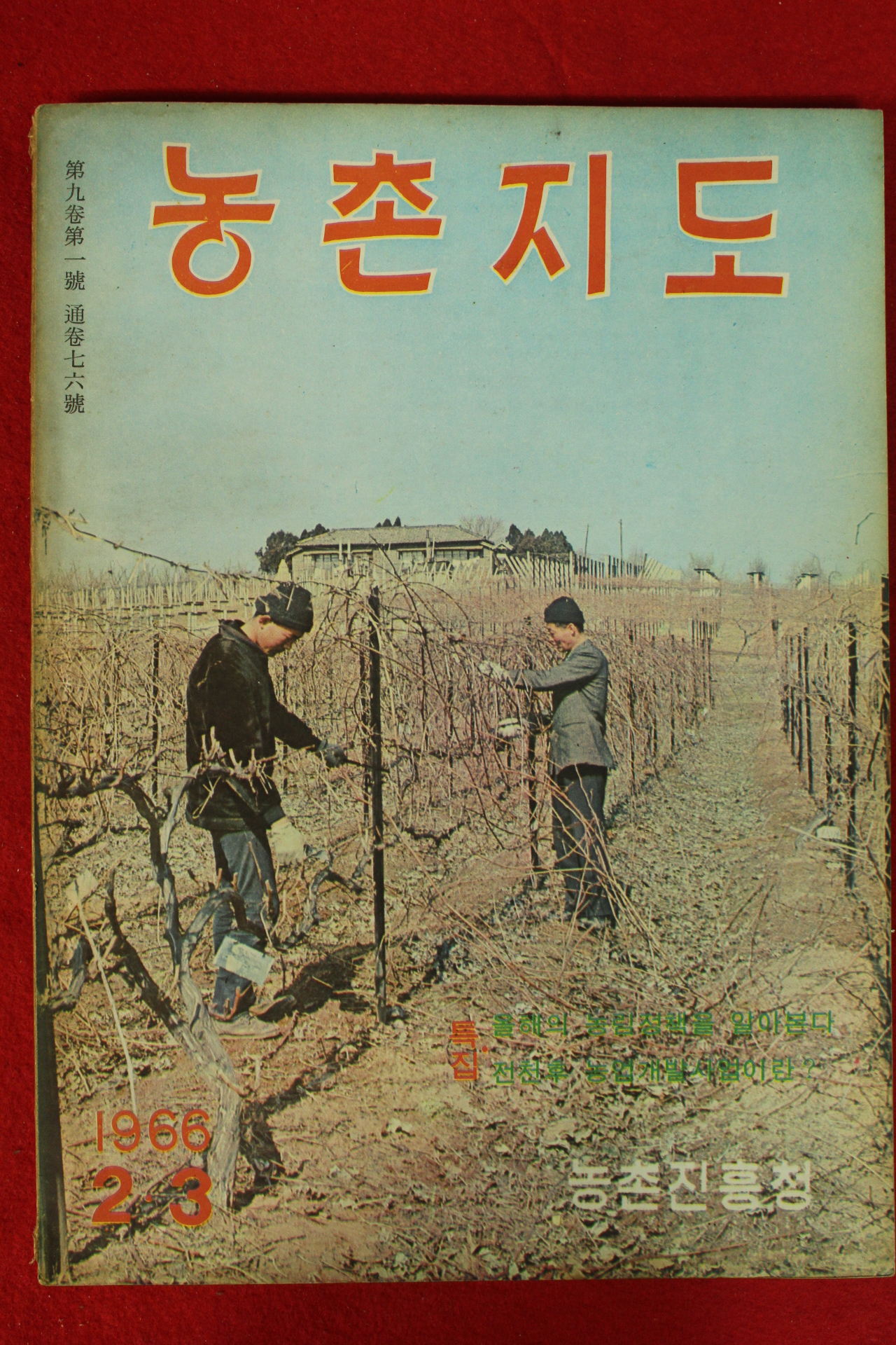 1966년 농촌지도 2.3월호