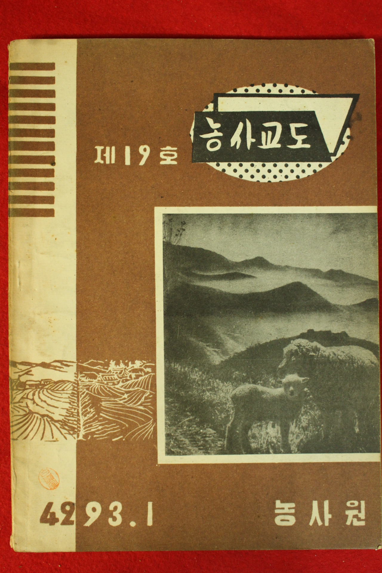 1960년 농사교도 1월호