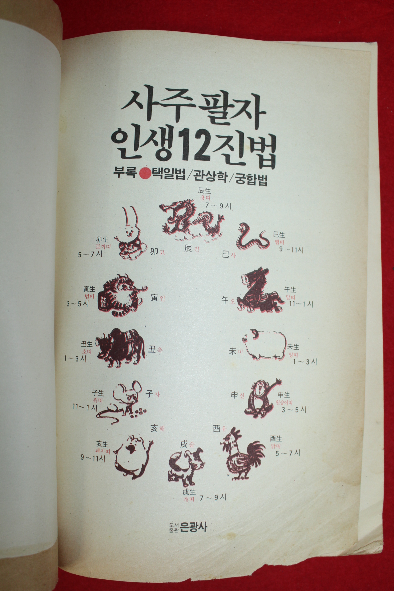 1954년 사주팔자 인생12진법