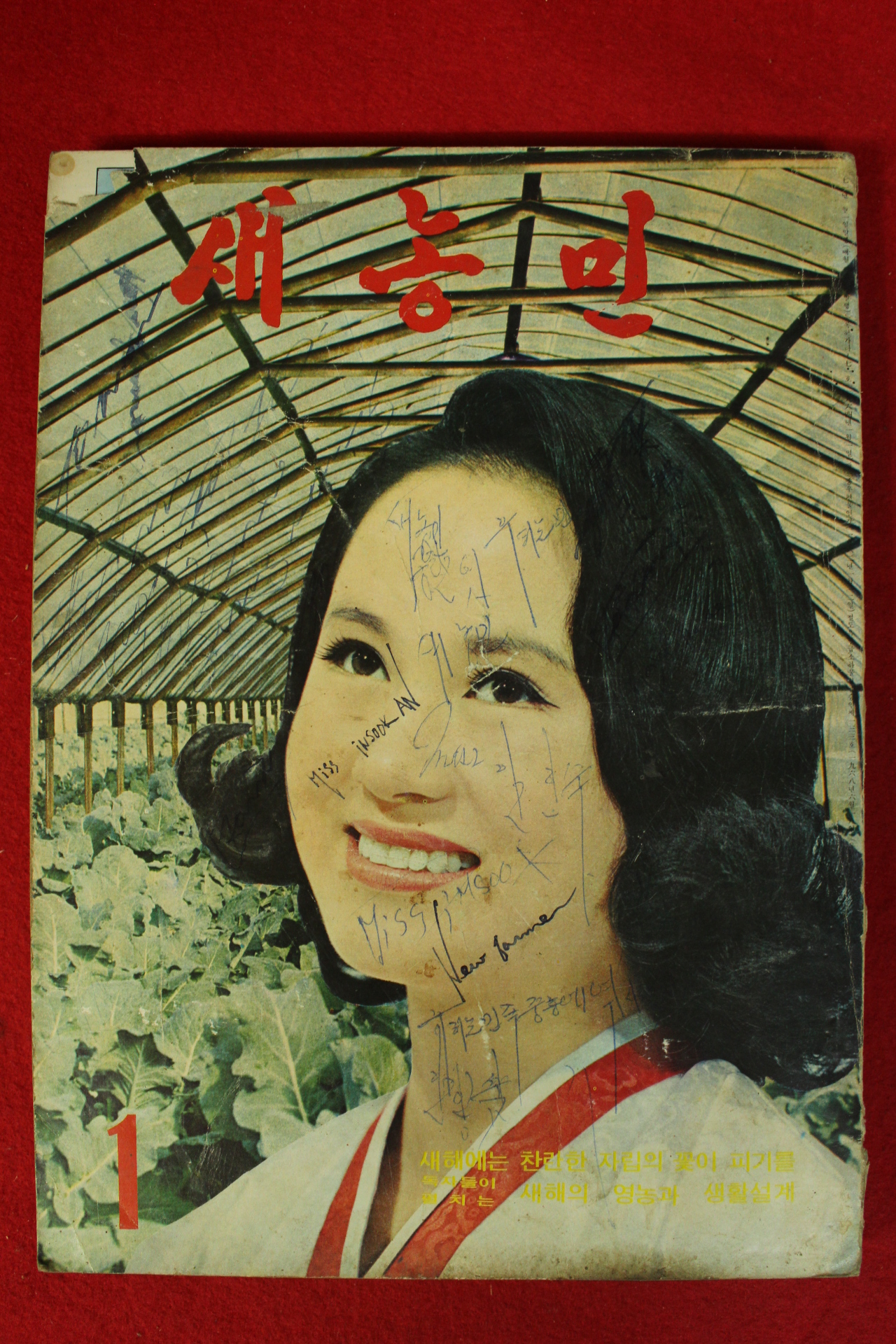 1971년 새농민 1월호