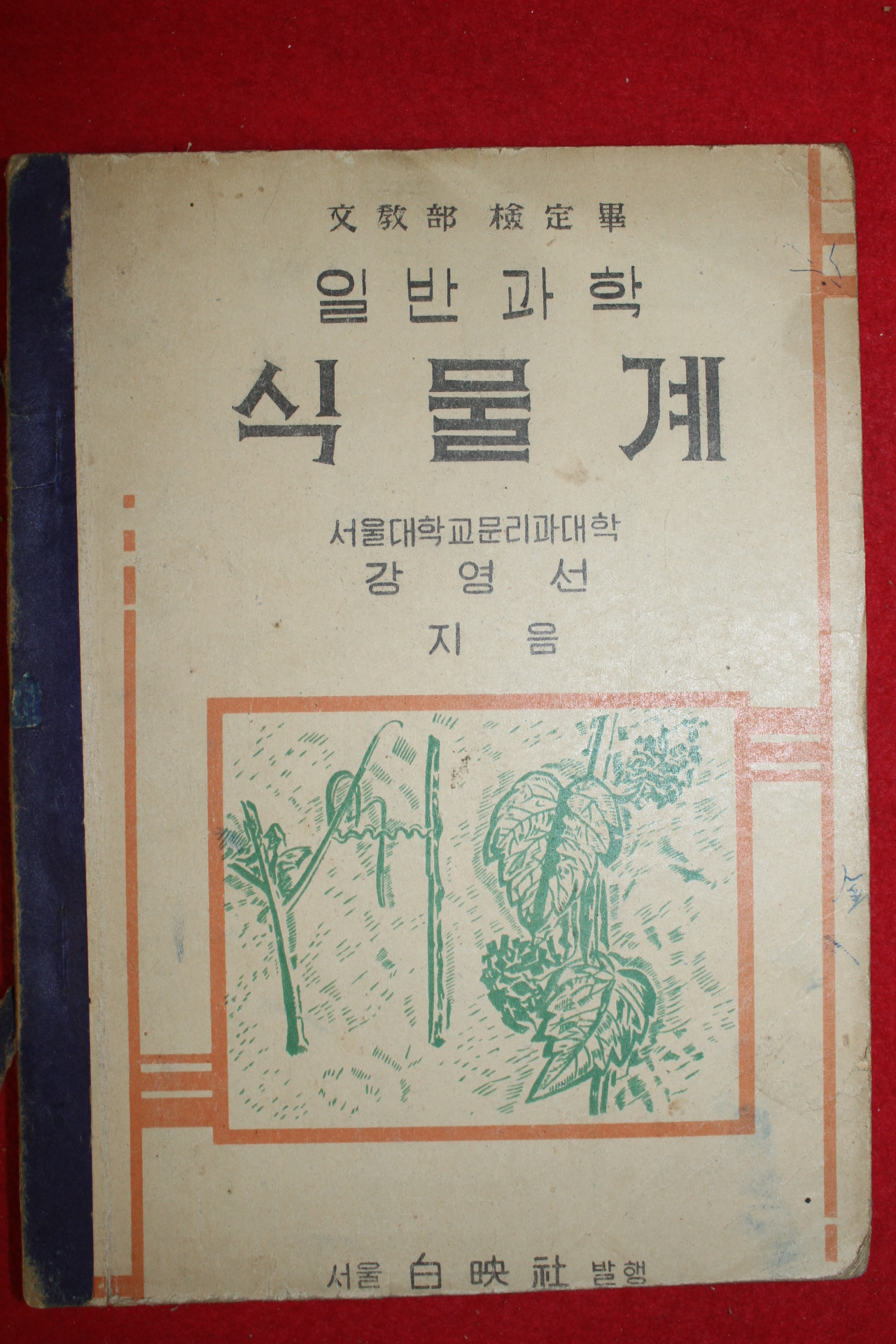 1952년 강연선지음 일반과학 식물계