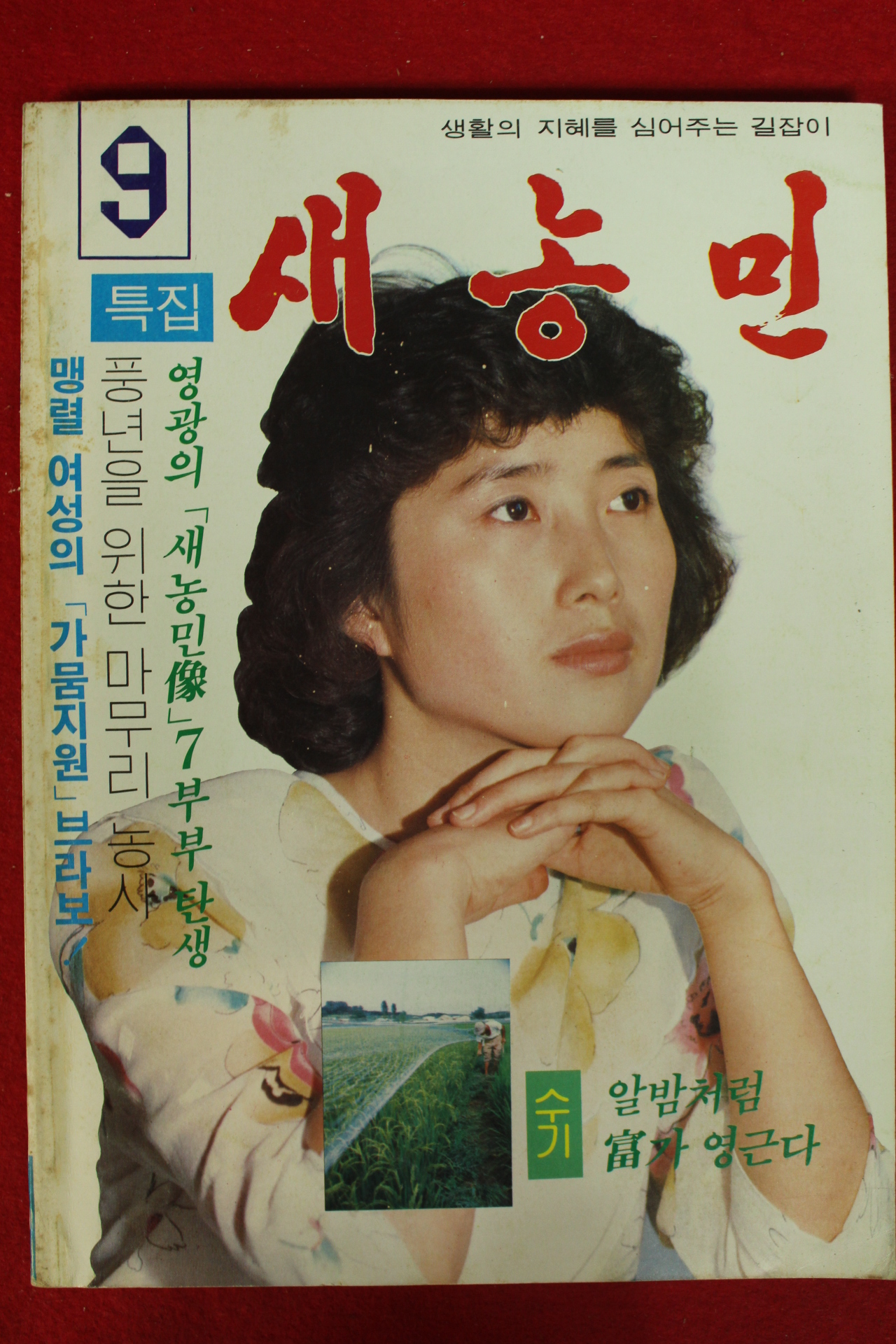 1982년 새농민 9월호