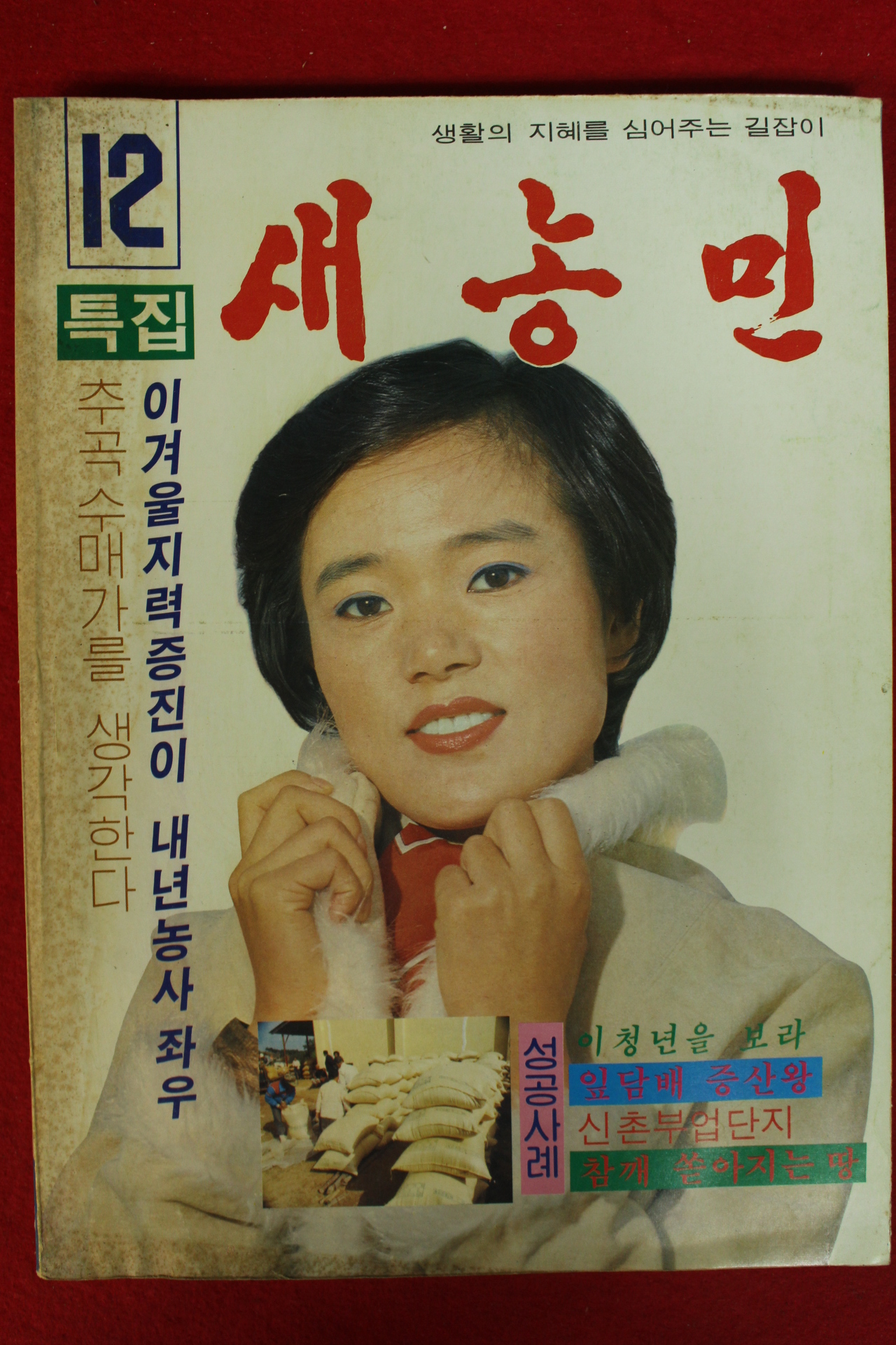 1982년 새농민 12월호