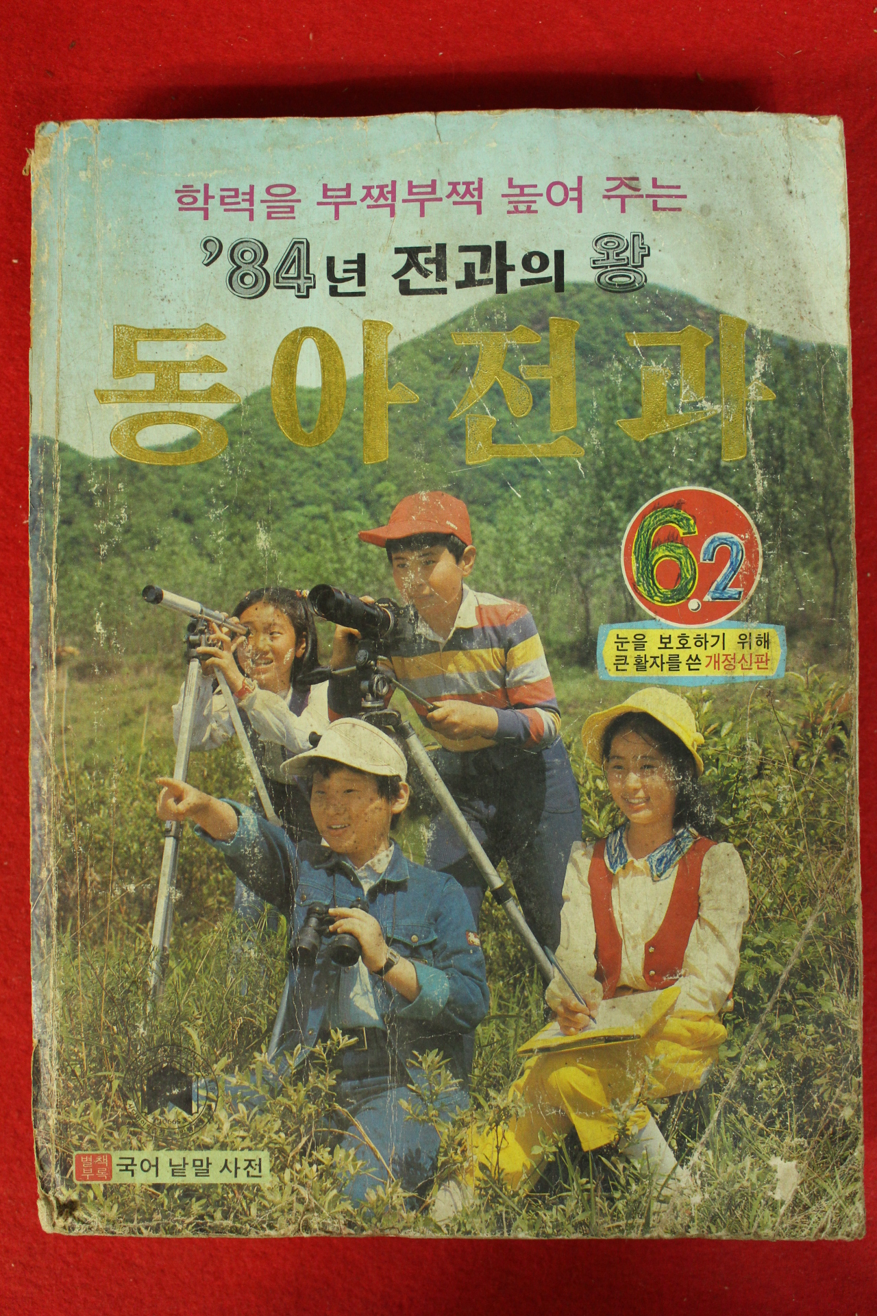 1984년 동아전과 6-2