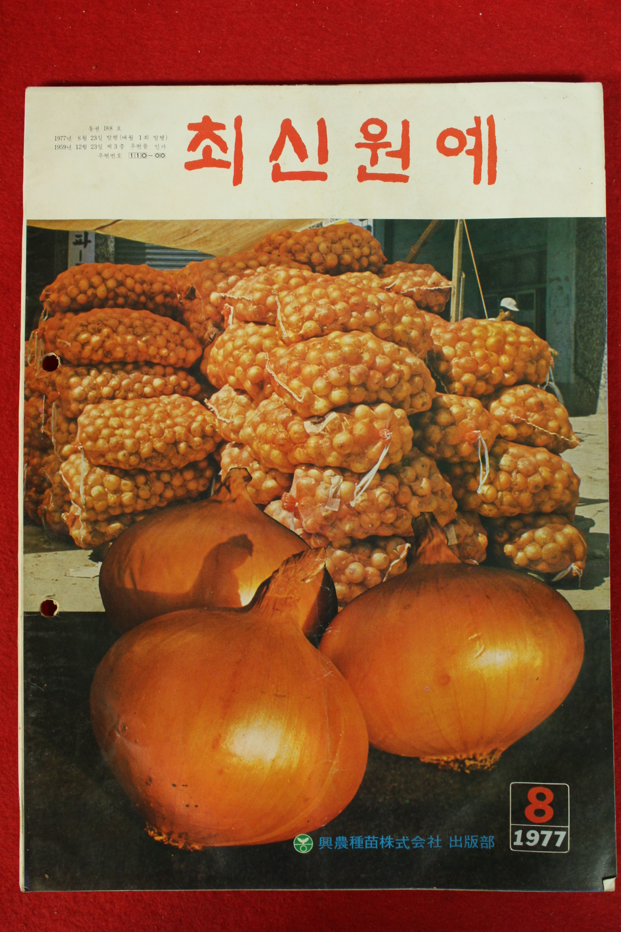 1977년 최신원예 8월호