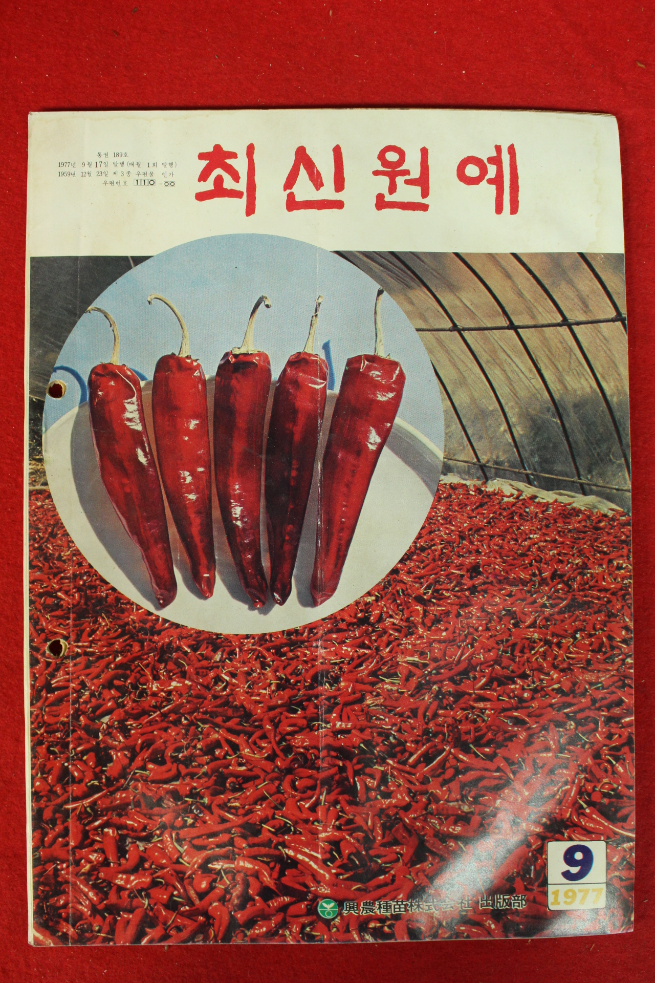 1977년 최신원예 9월호