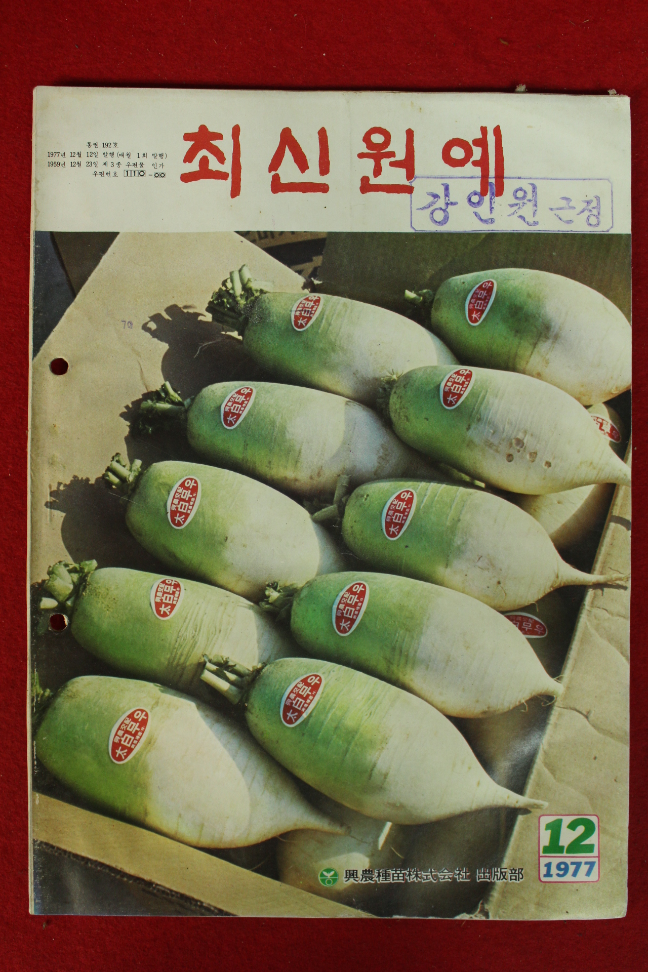 1977년 최신원예 12월호