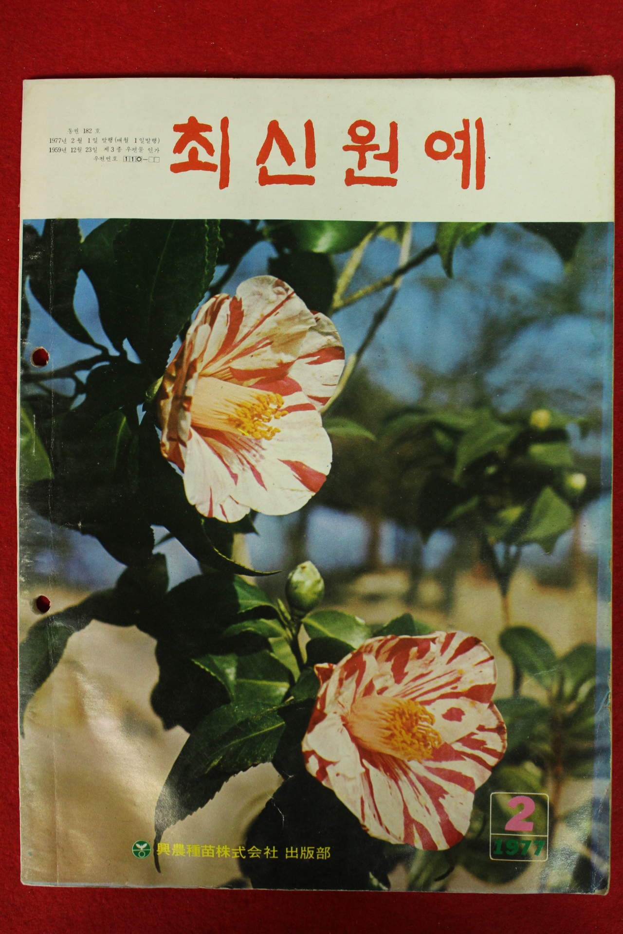 1977년 최신원예 2월호