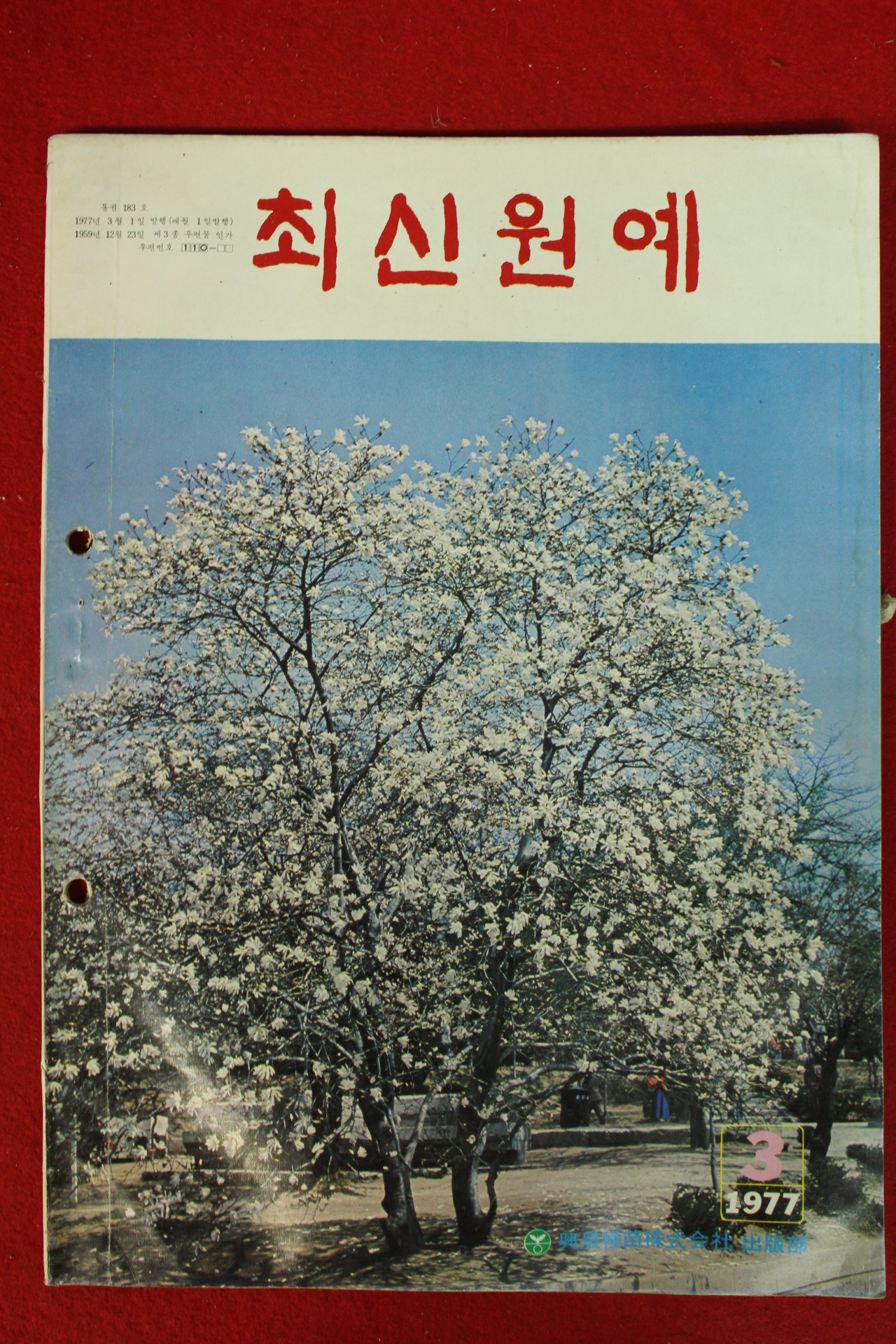 1977년 최신원예 3월호