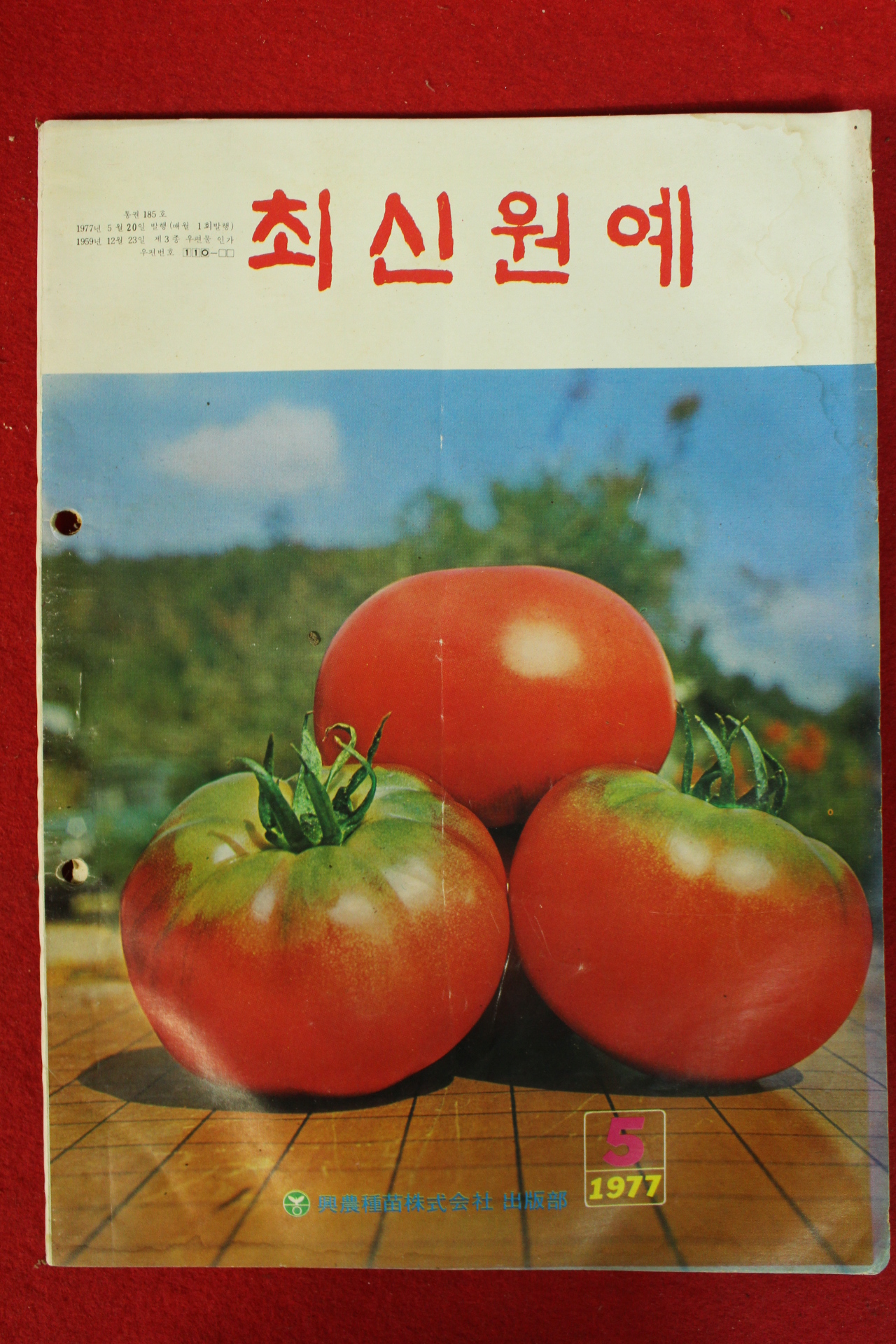 1977년 최신원예 5월호