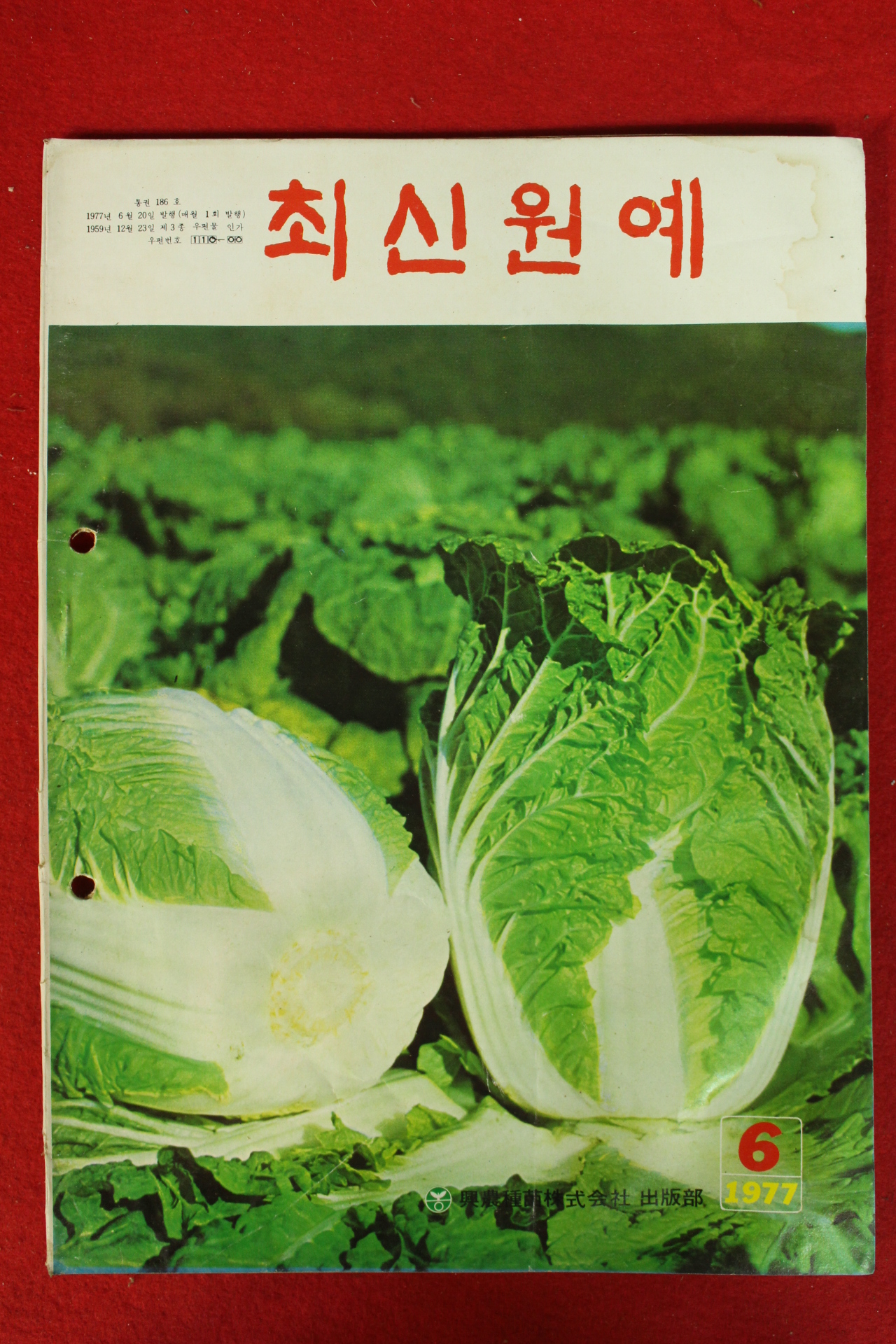 1977년 최신원예 6월호