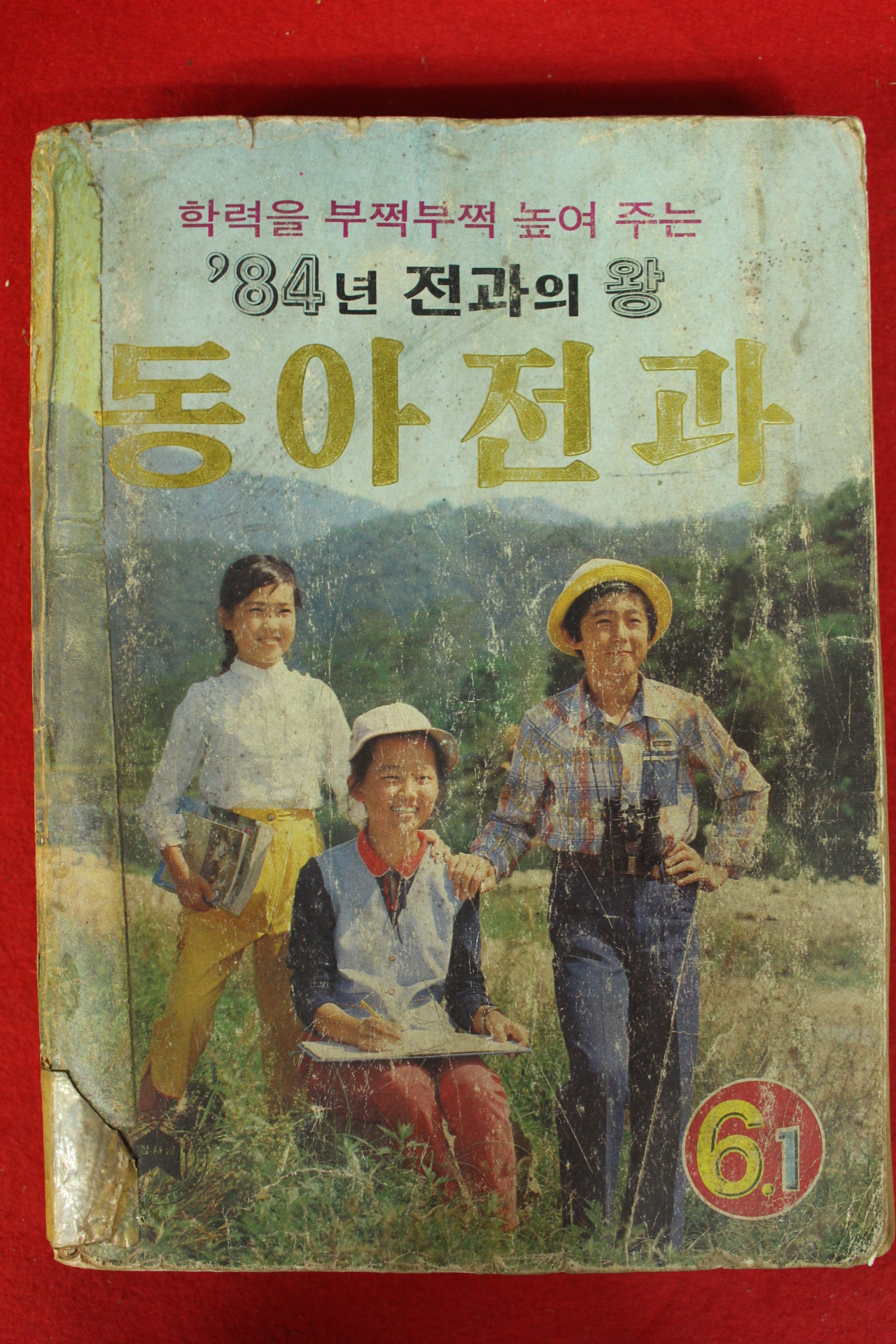 1984년 동아전과 6-1