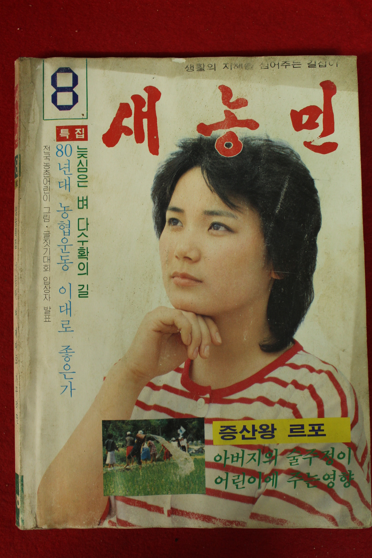 1982년 새농민 8월호