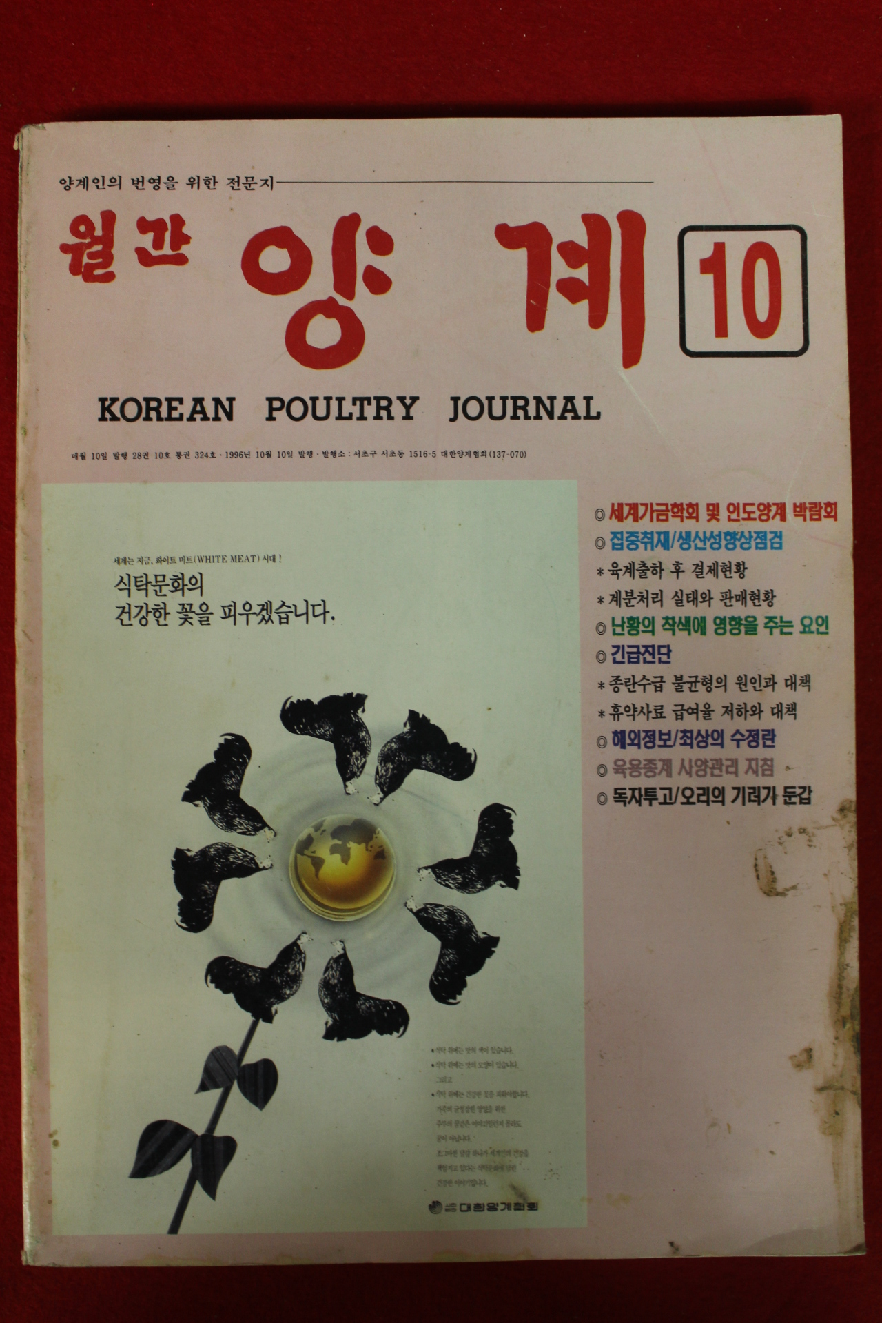 1996년 월간 양계 10월호