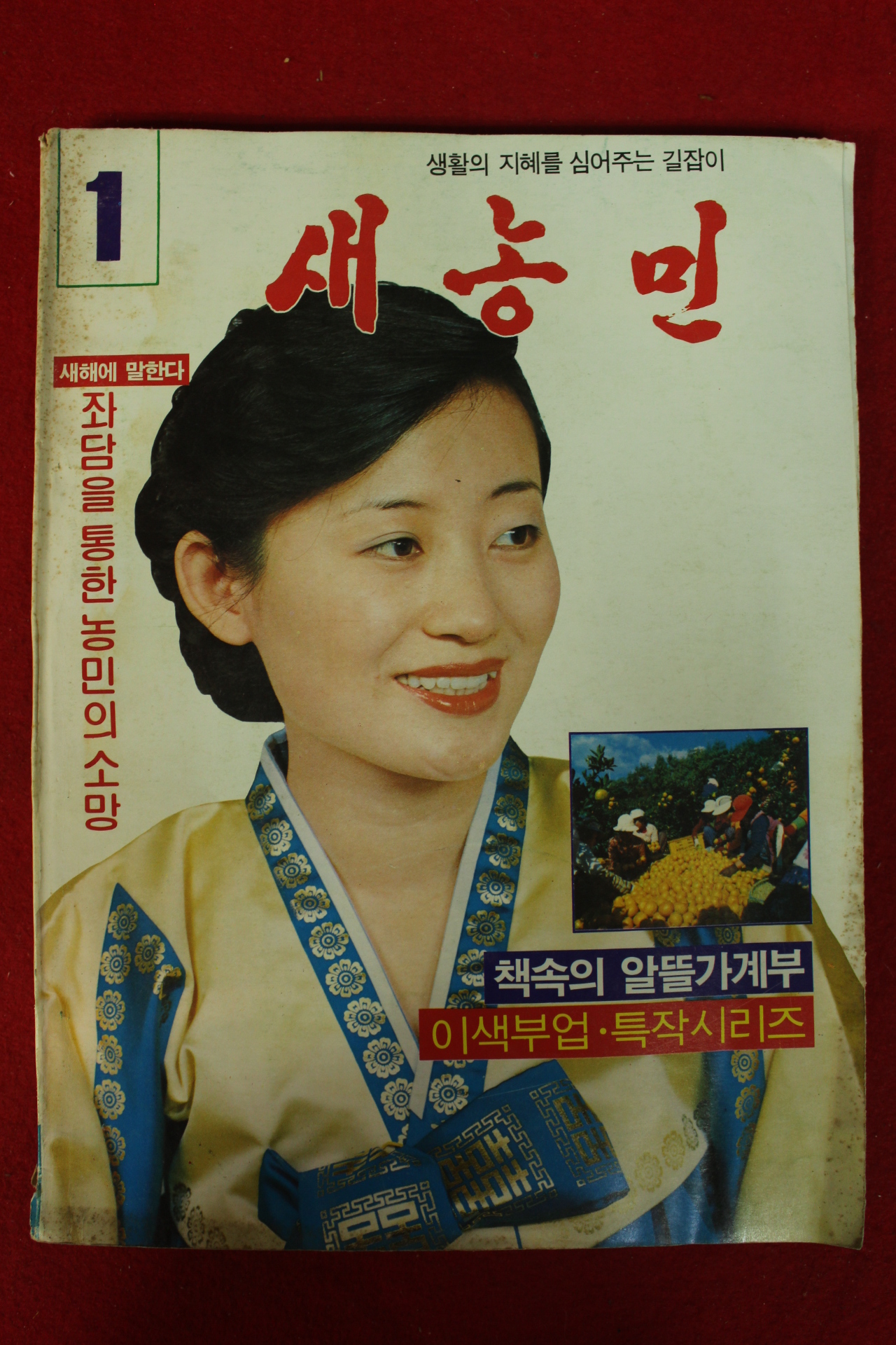 1982년 새농민 1월호