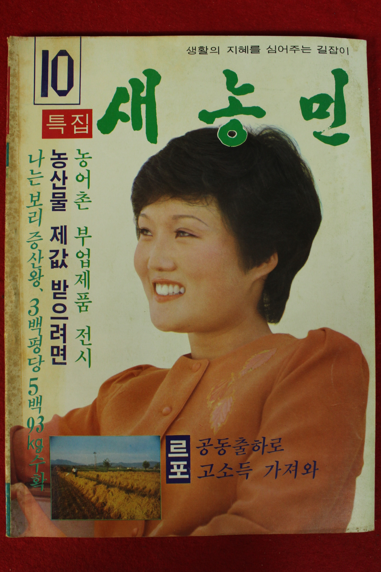 1982년 새농민 10월호