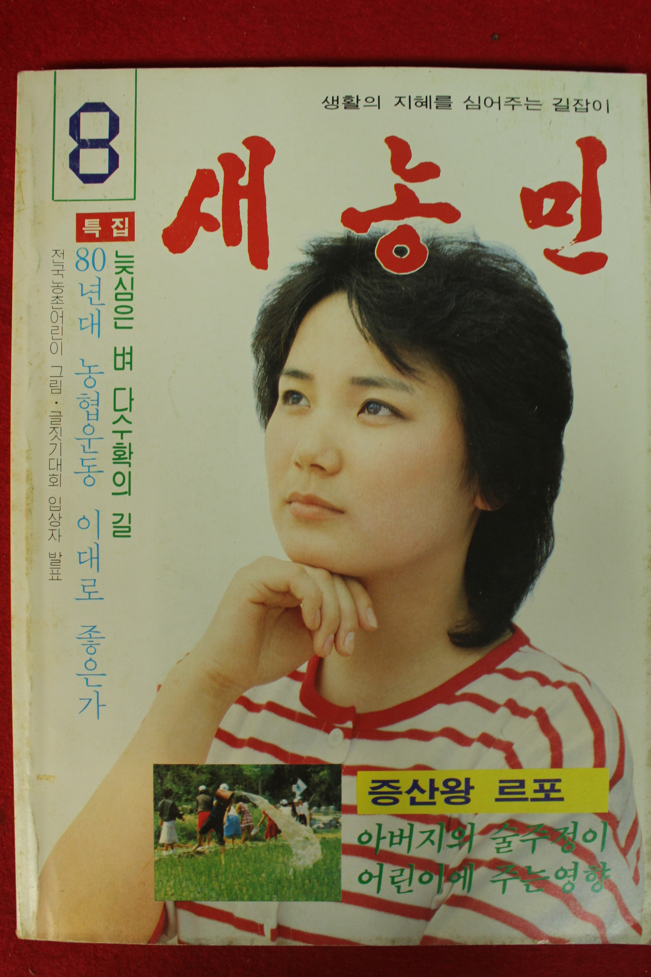 1982년 새농민 8월호