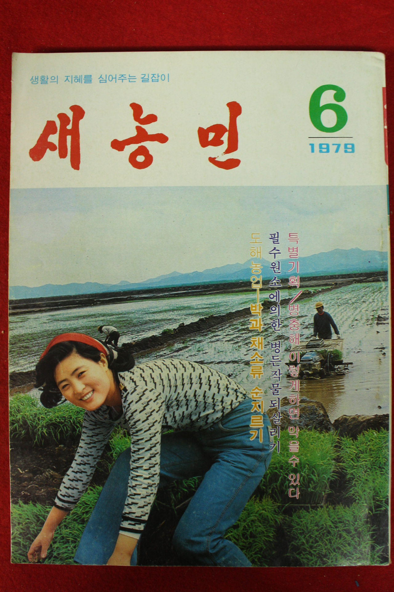 1979년 새농민 6월호