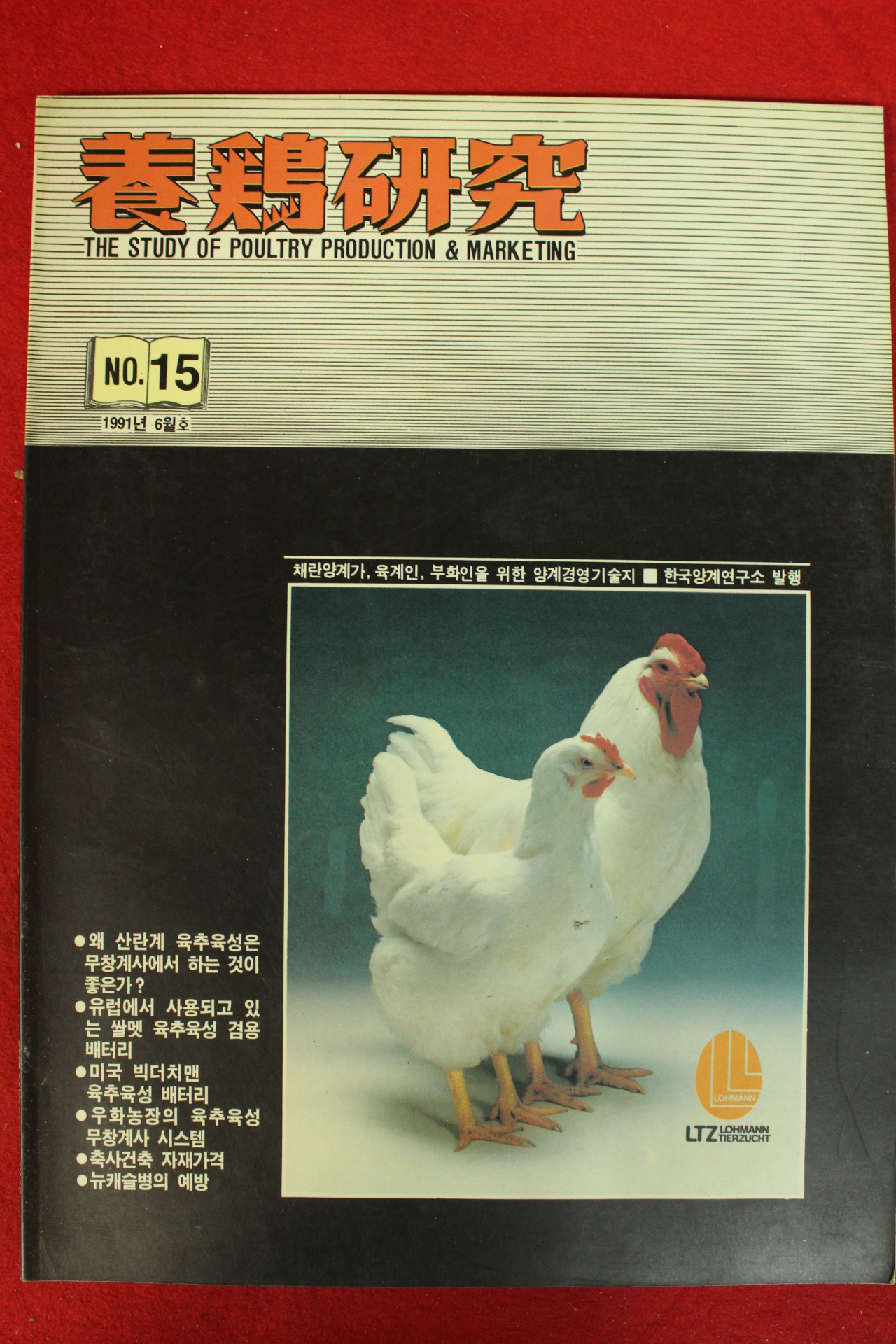 1991년 양계연구 6월호