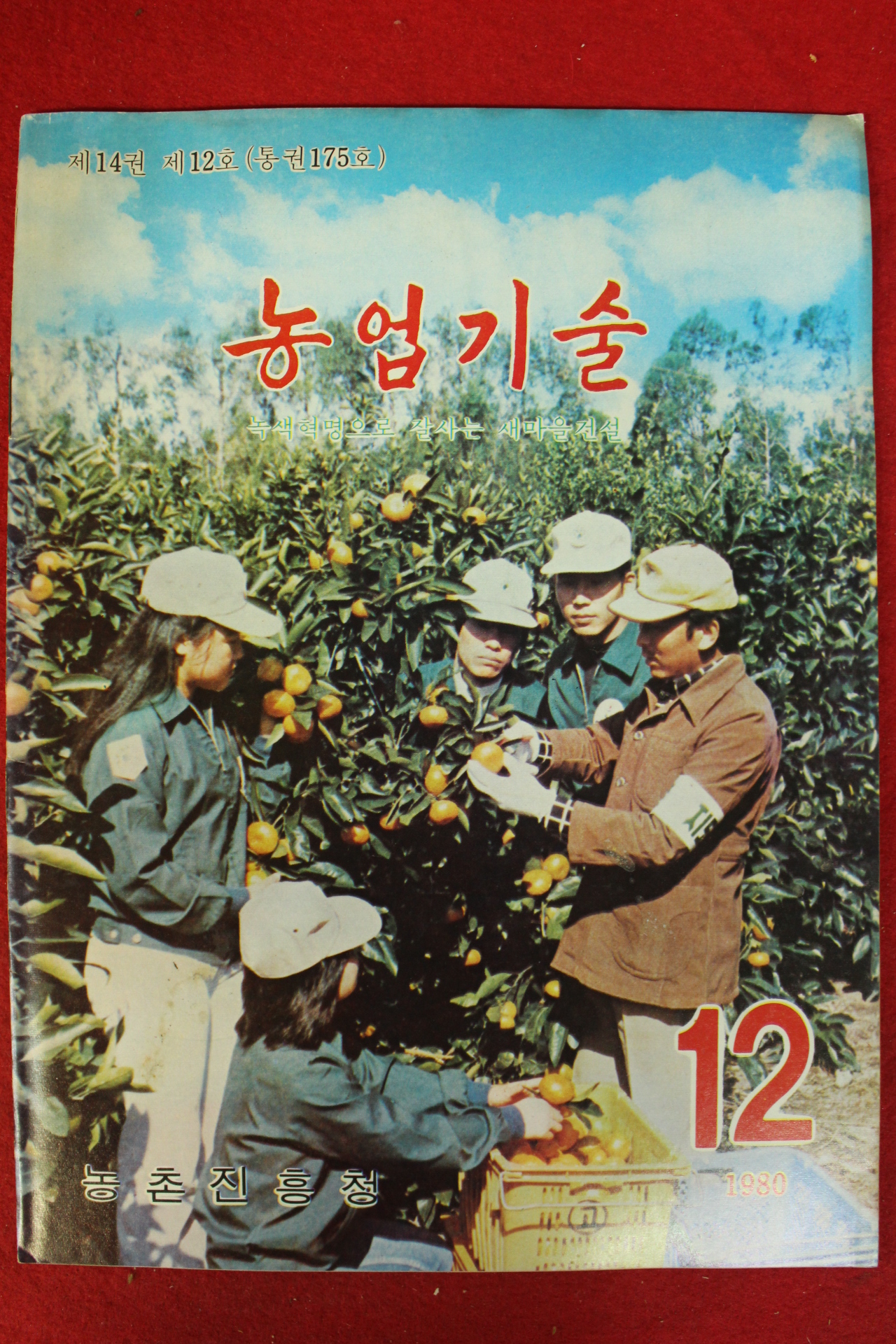 1980년 농업기술 12월호