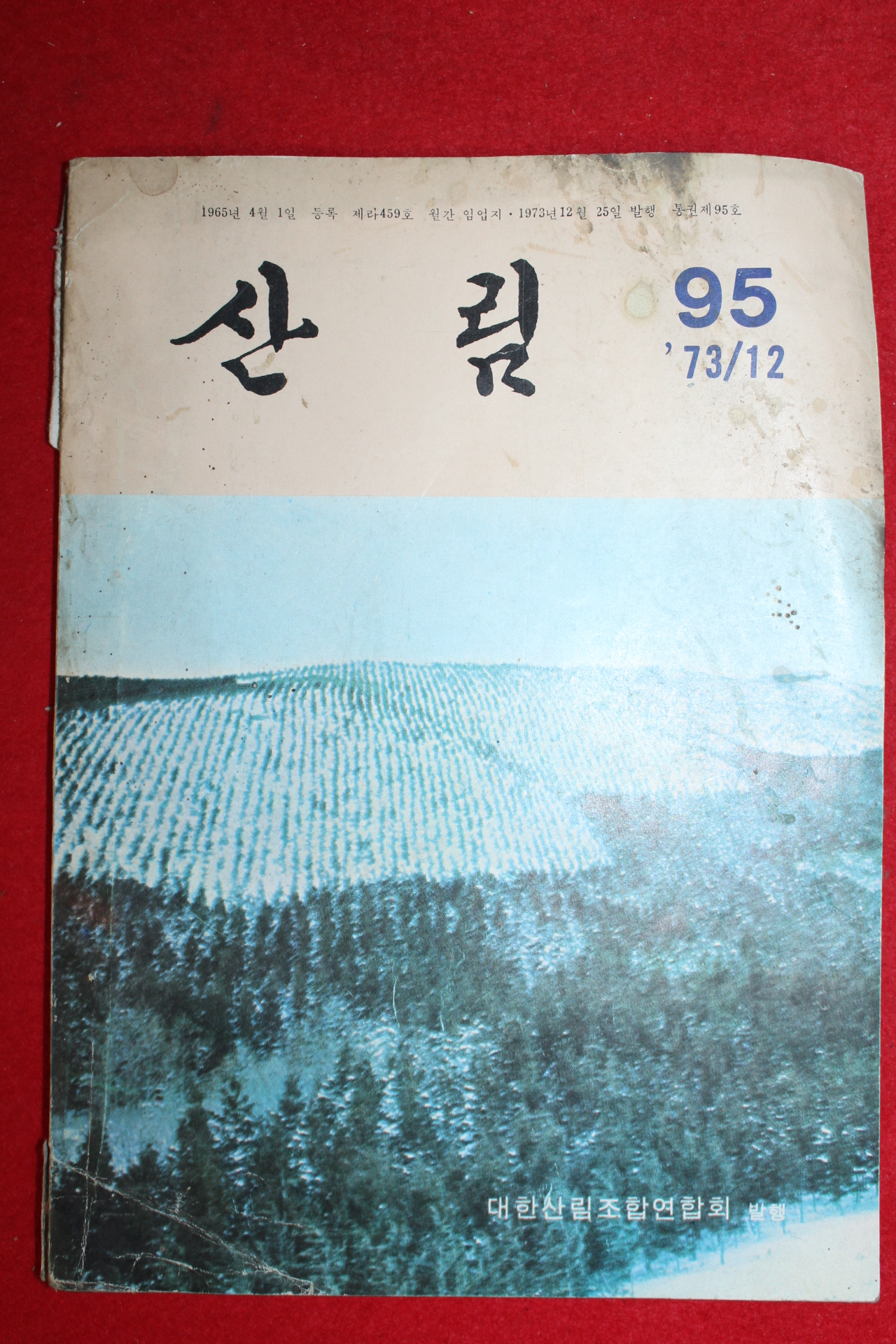 1973년 삼림 12월호