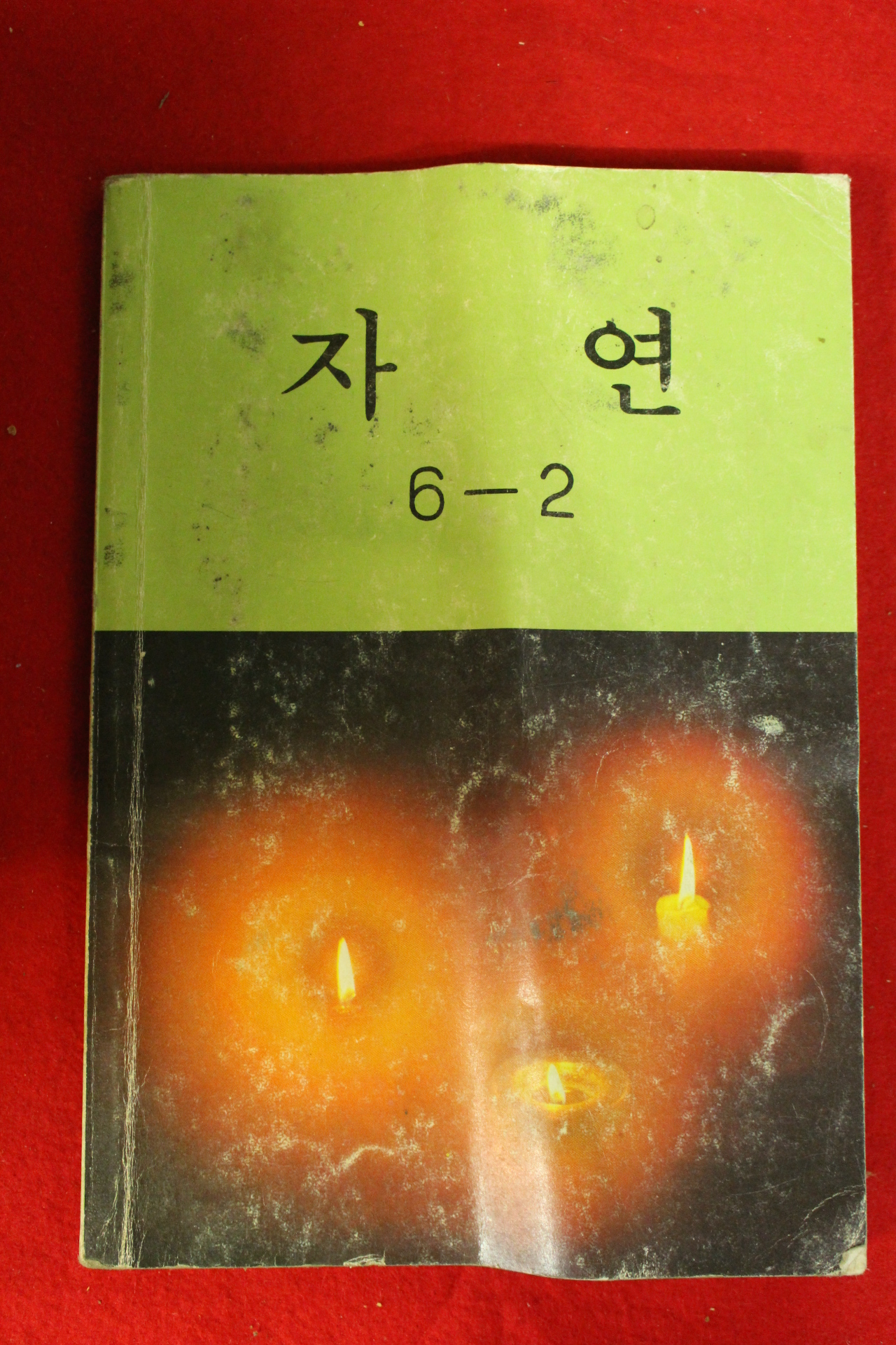 1983년 자연 6-2