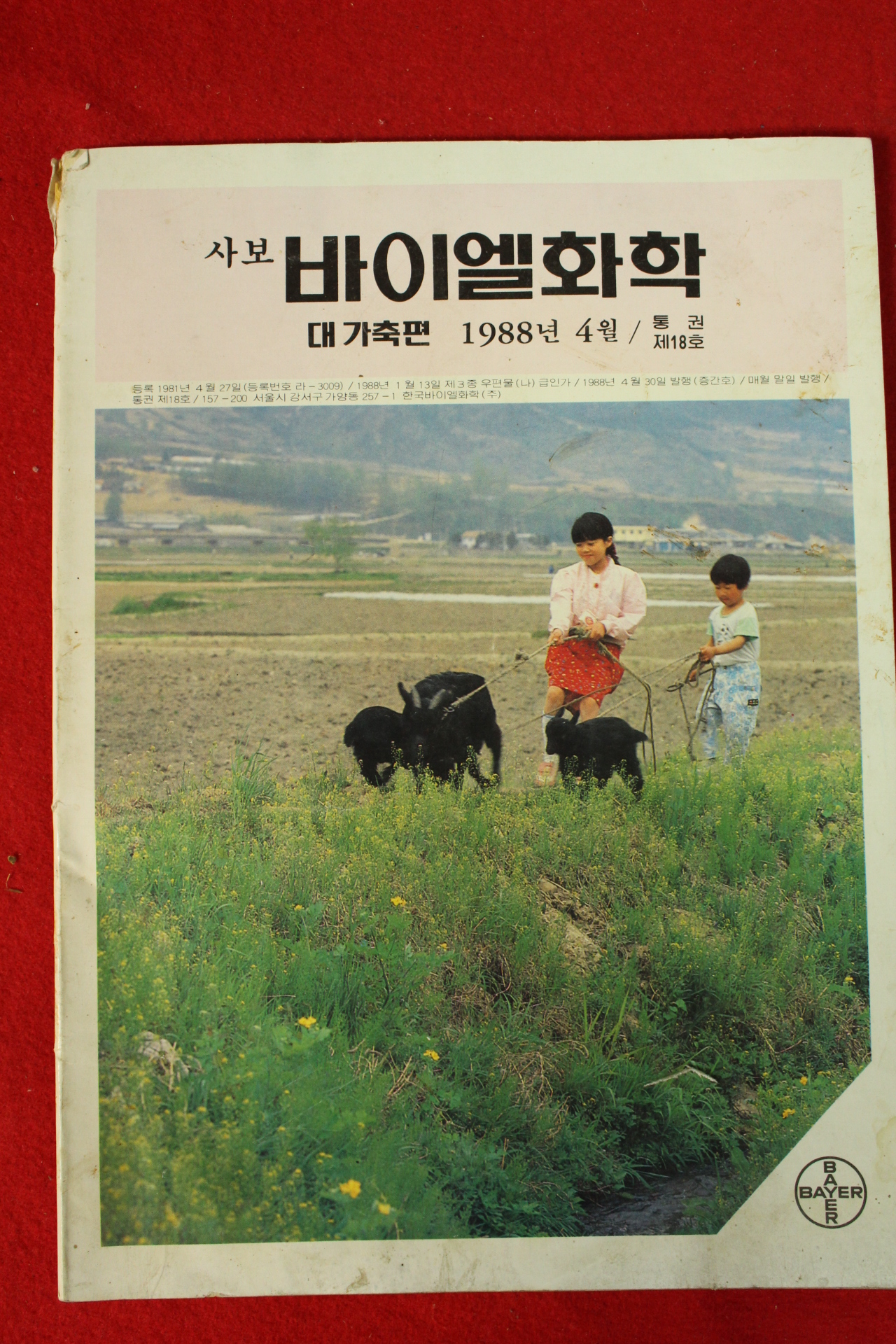 1988년 바이엘화학 4월호