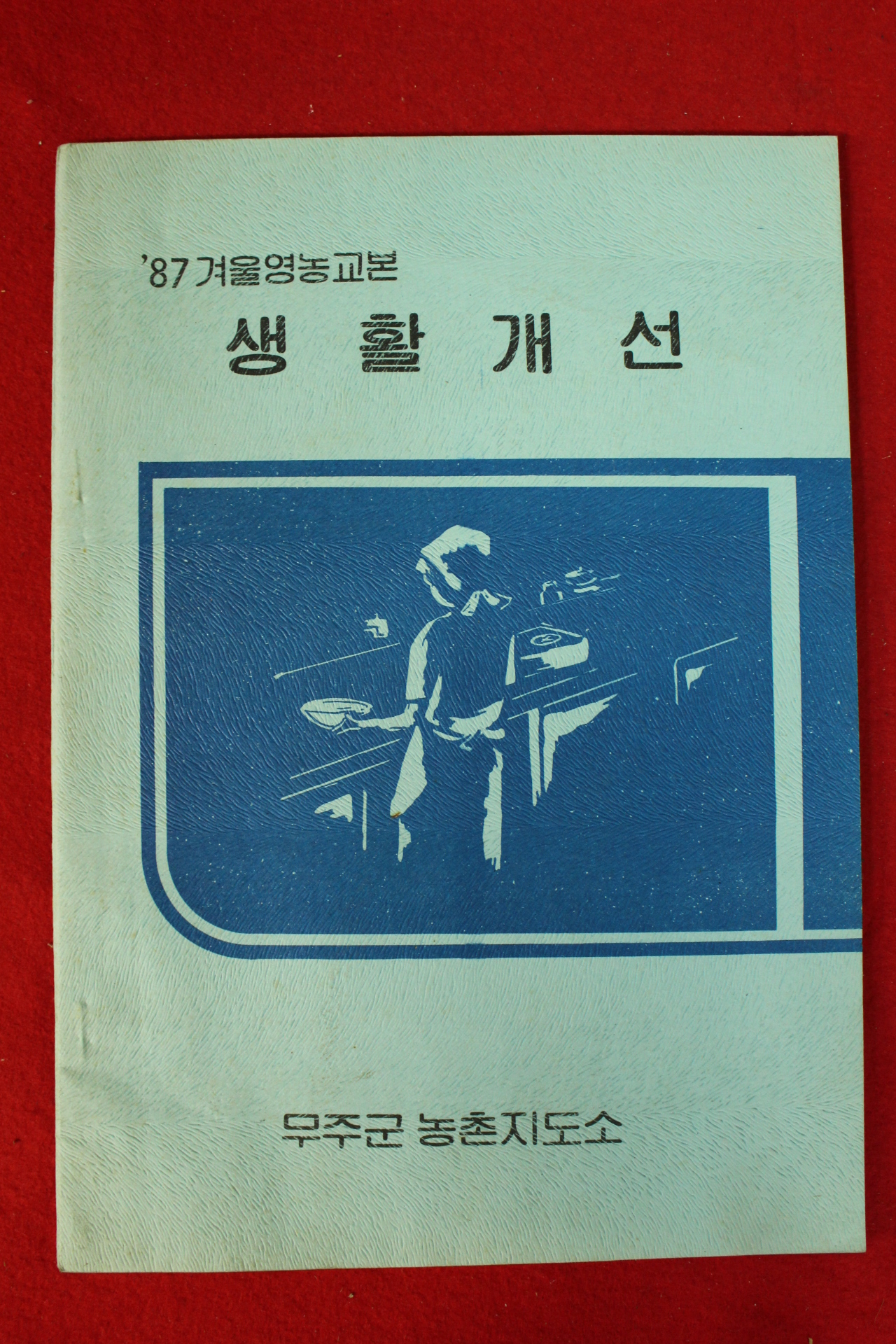 1987년 무주군농촌지도소 생활개선