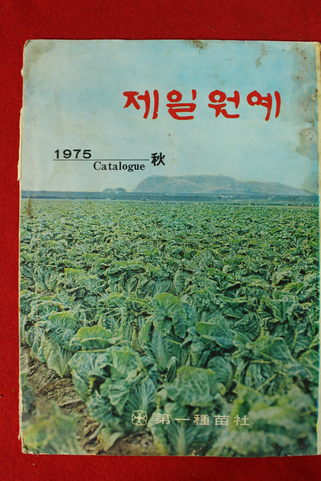 1975년 제일원예 가을호