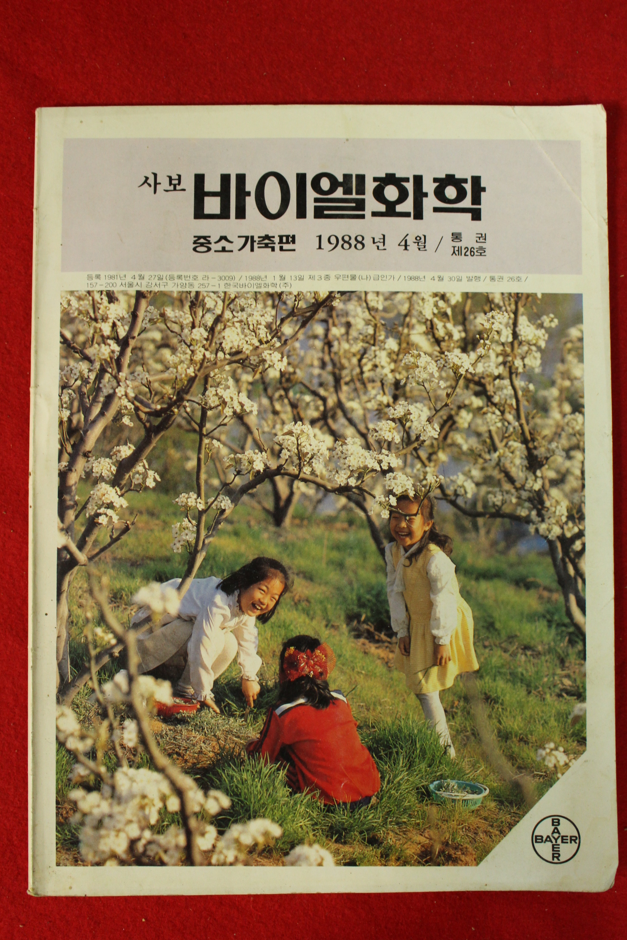 1988년 바이엘화학 4월호