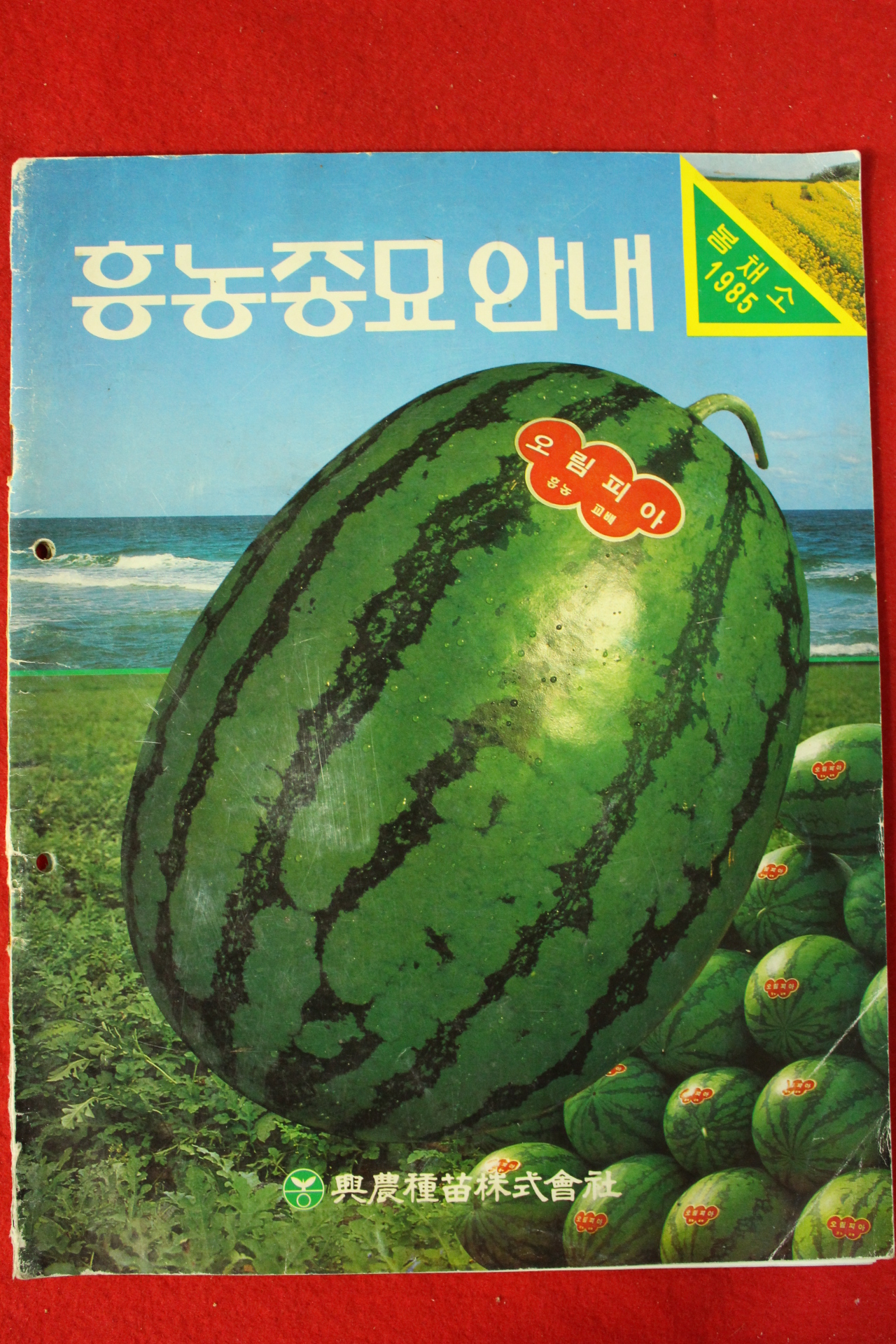 1985년 흥농종묘안내