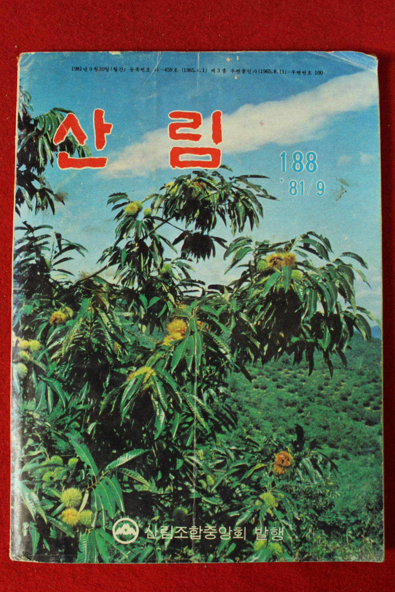 1981년 산림 9월호