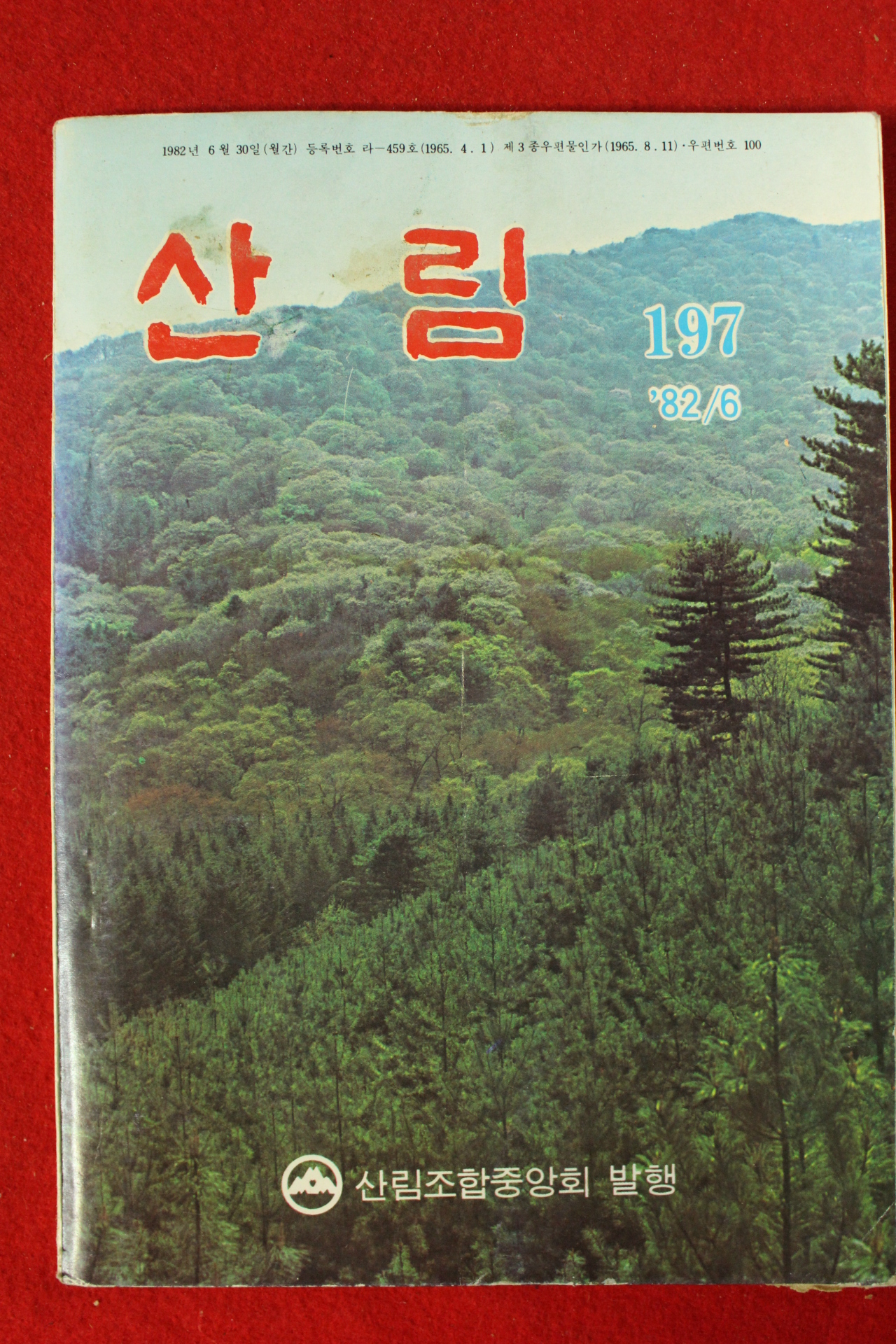 1982년 산림 6월호