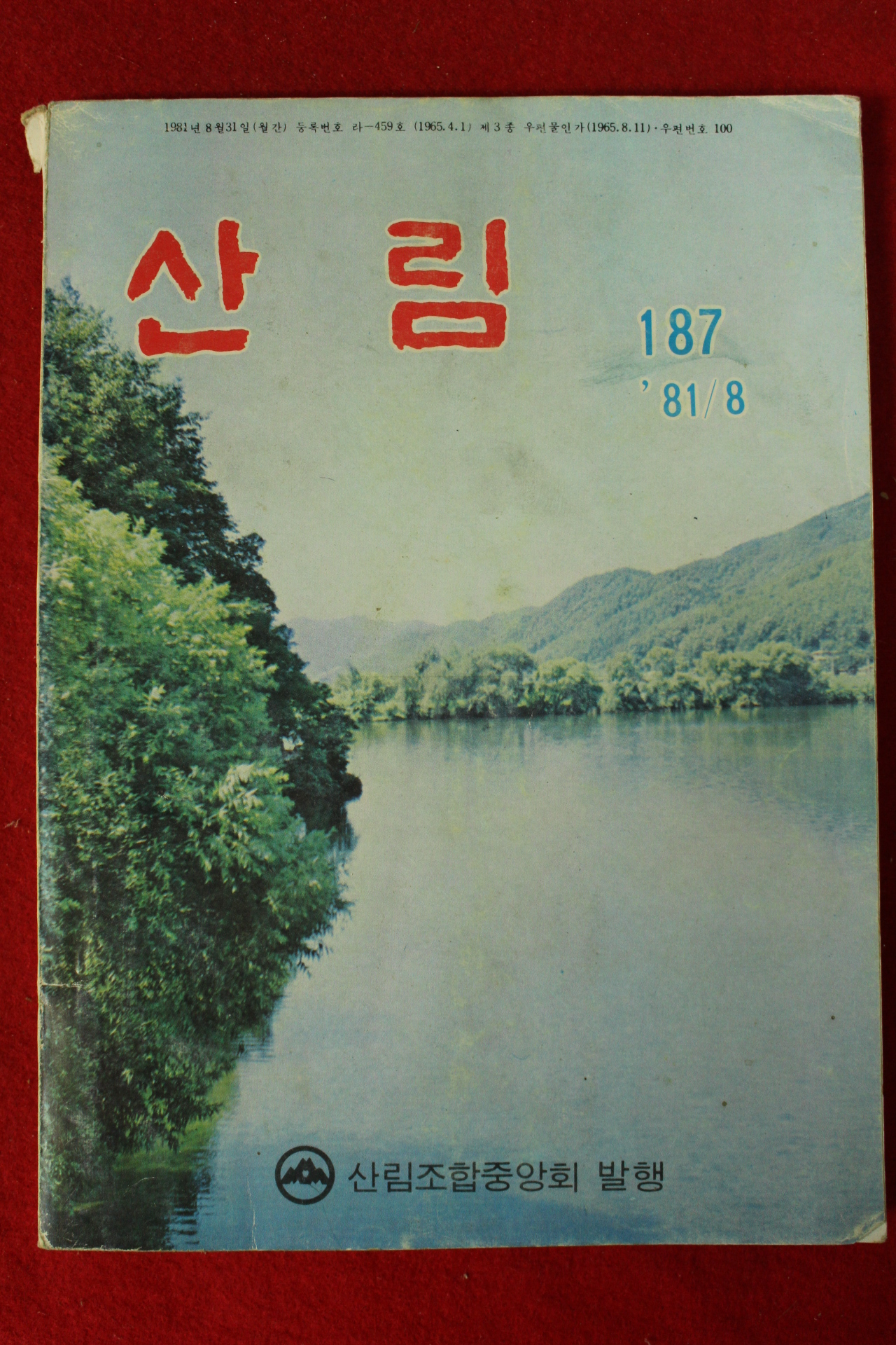 1981년 산림 8월호