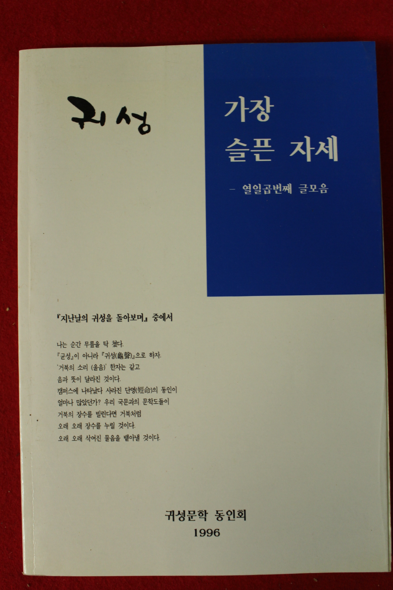 1996년 귀성 가장 슬픈 자세