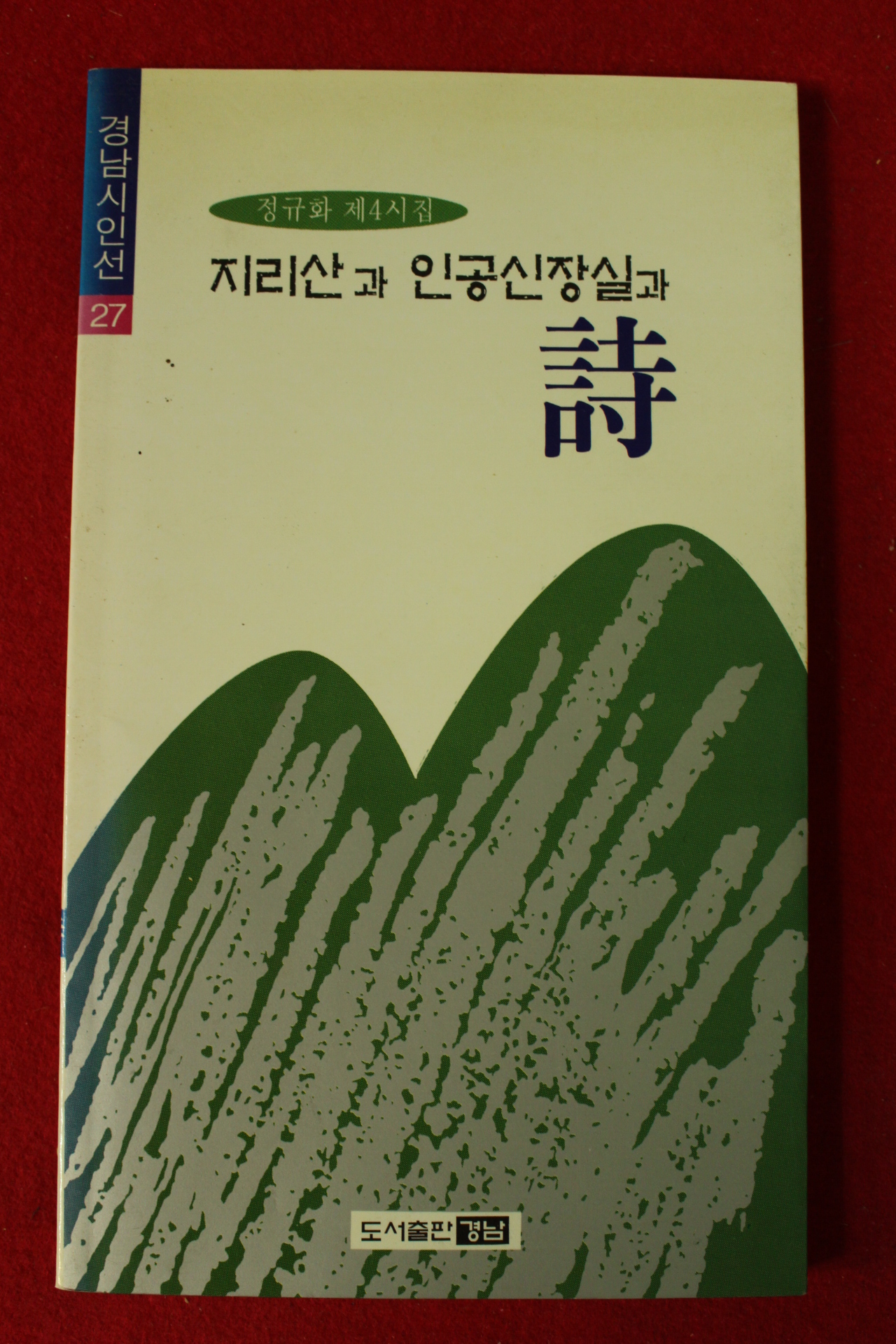 1996년 정규화시집 지리산과 인공신장실과 시