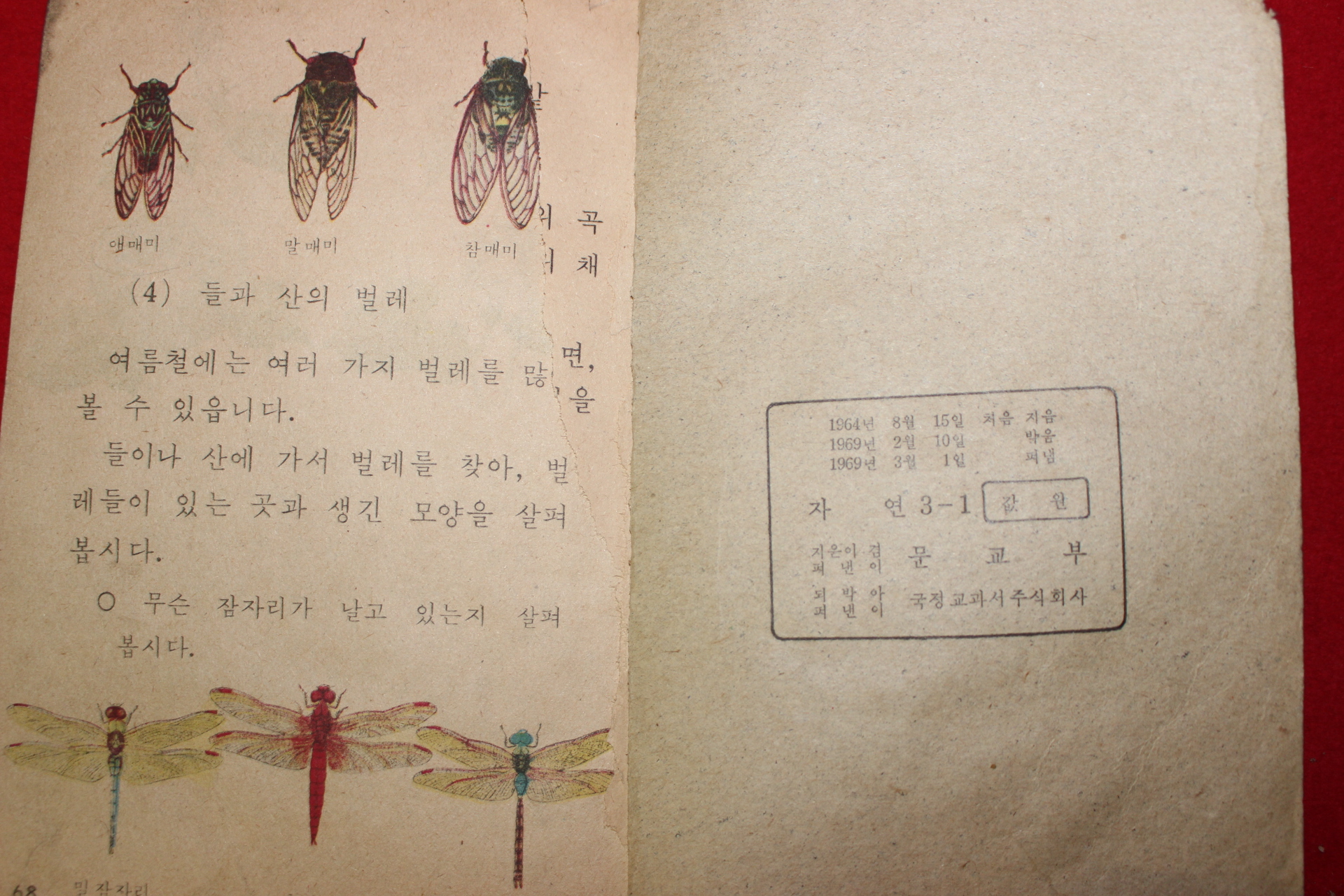 1969년 자연 3-1