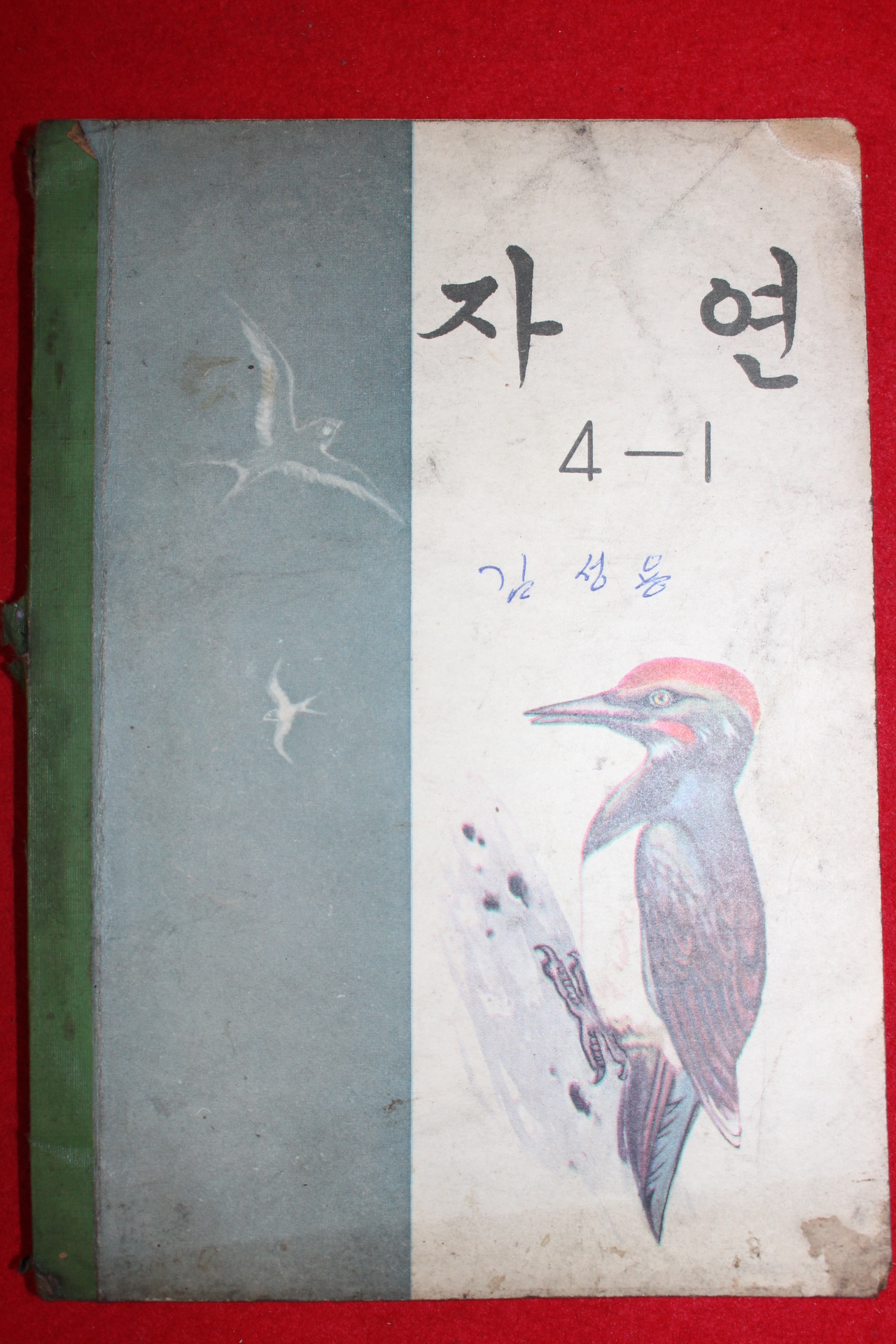 1971년 자연 4-1